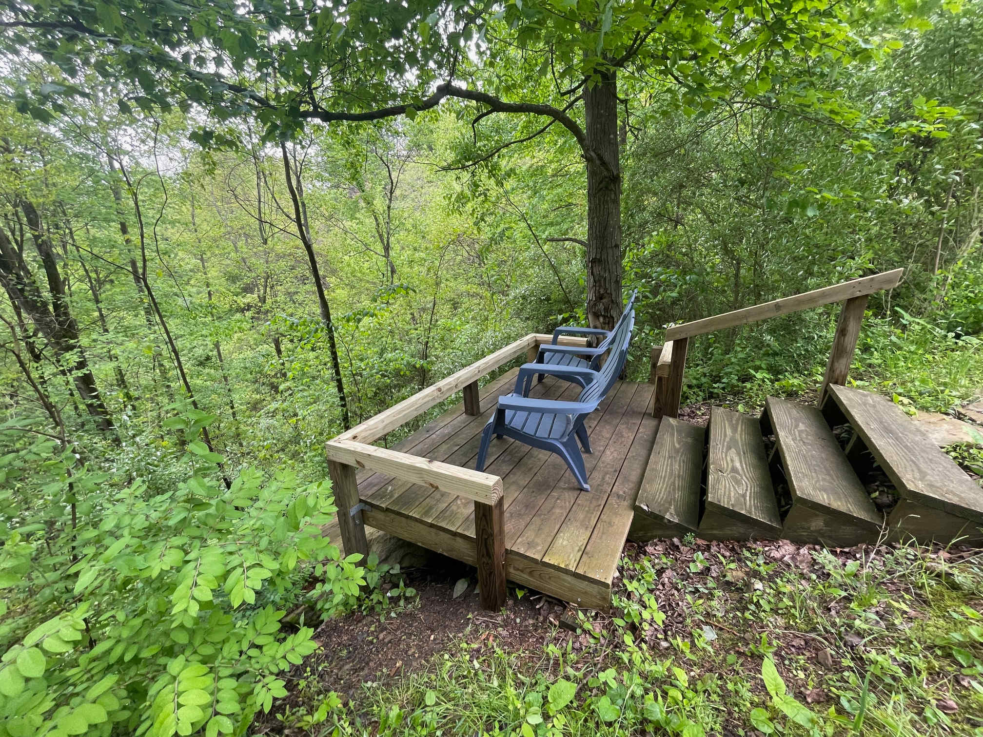 Ravine overlook