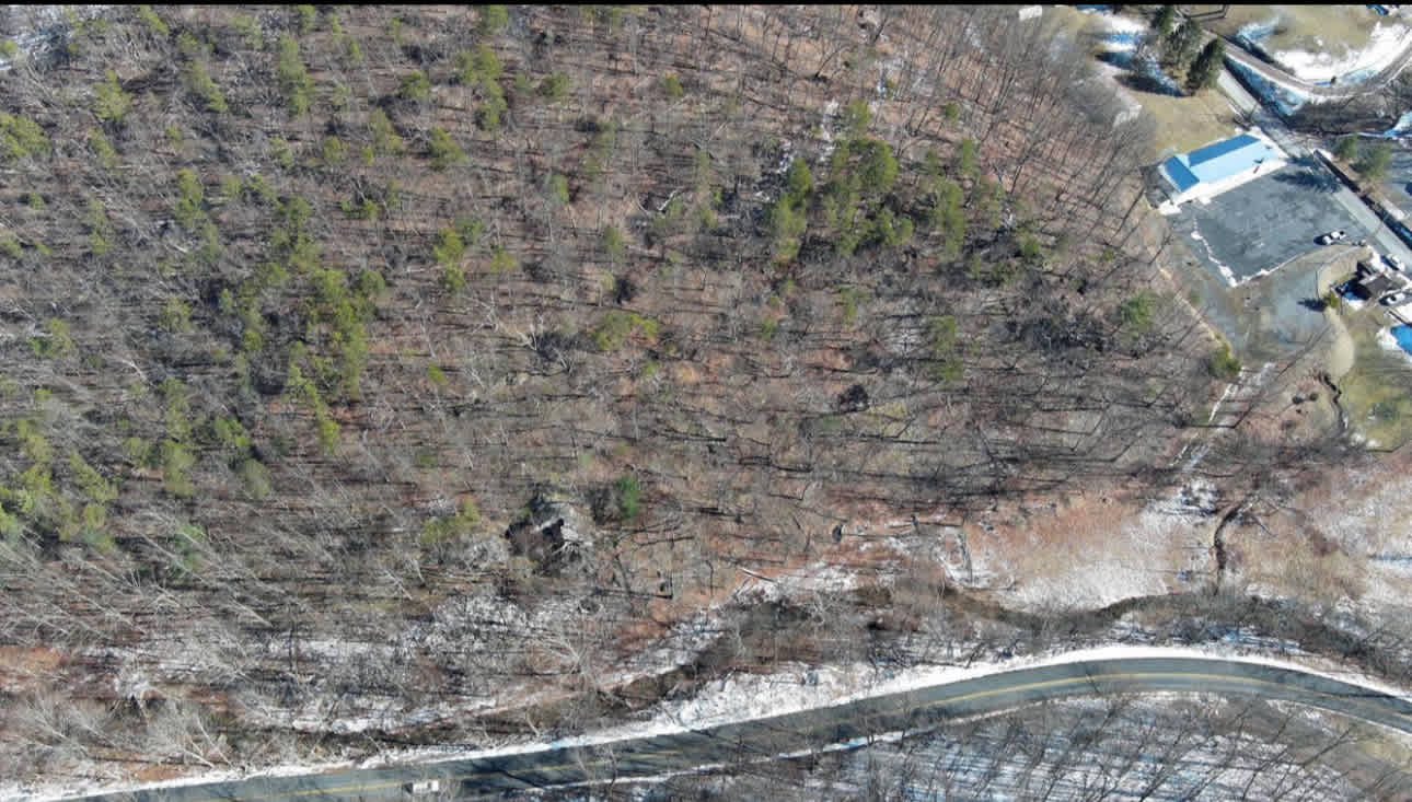Limestone Run Primitive Camping