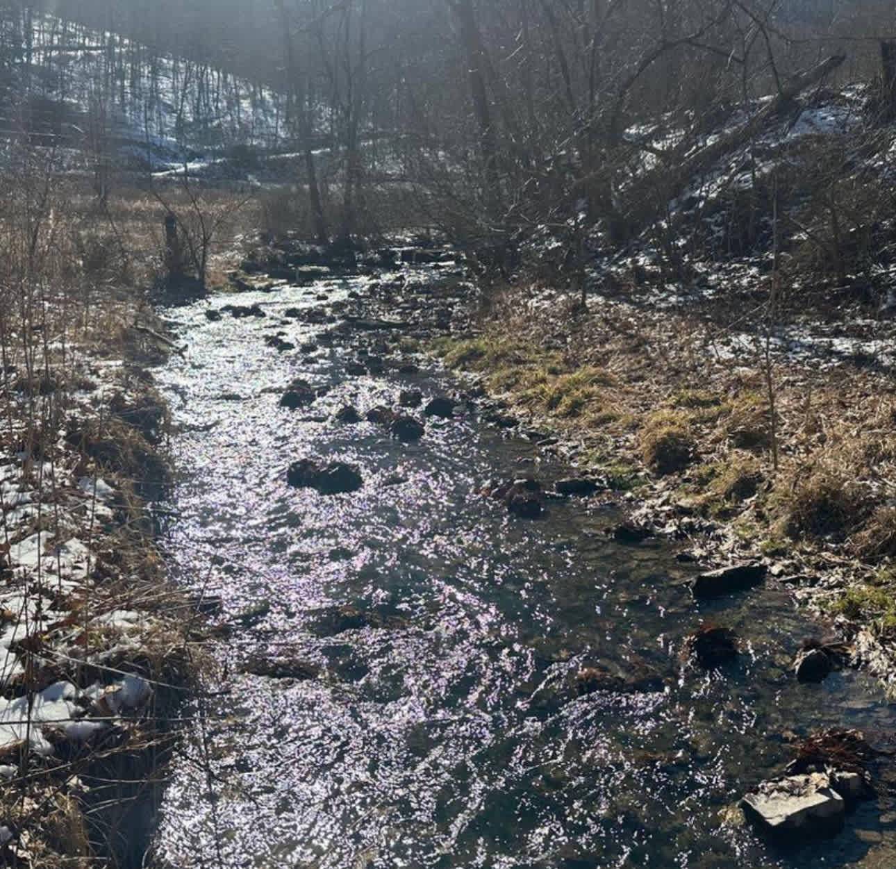 Limestone Run Primitive Camping