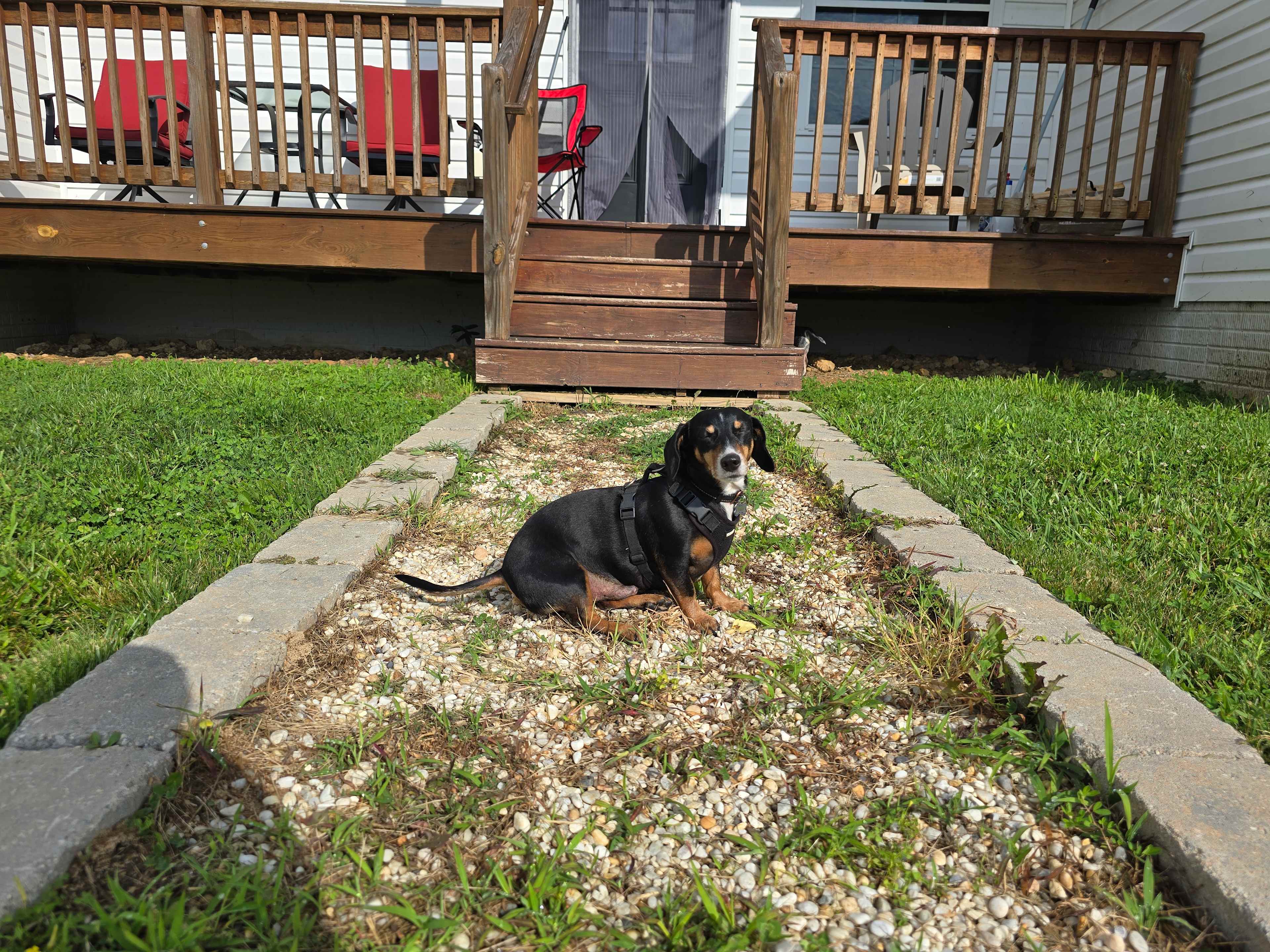 Favorite place...in the sun!