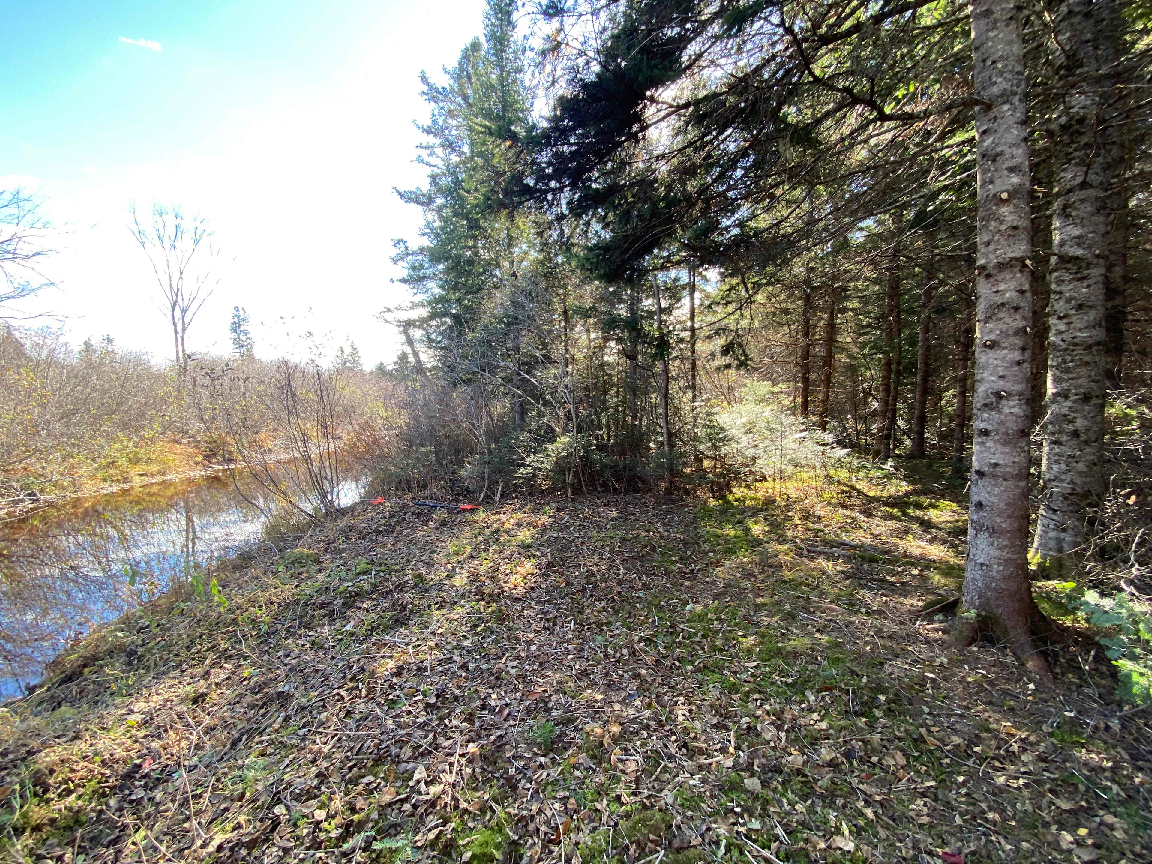 Kedron Brook Escape