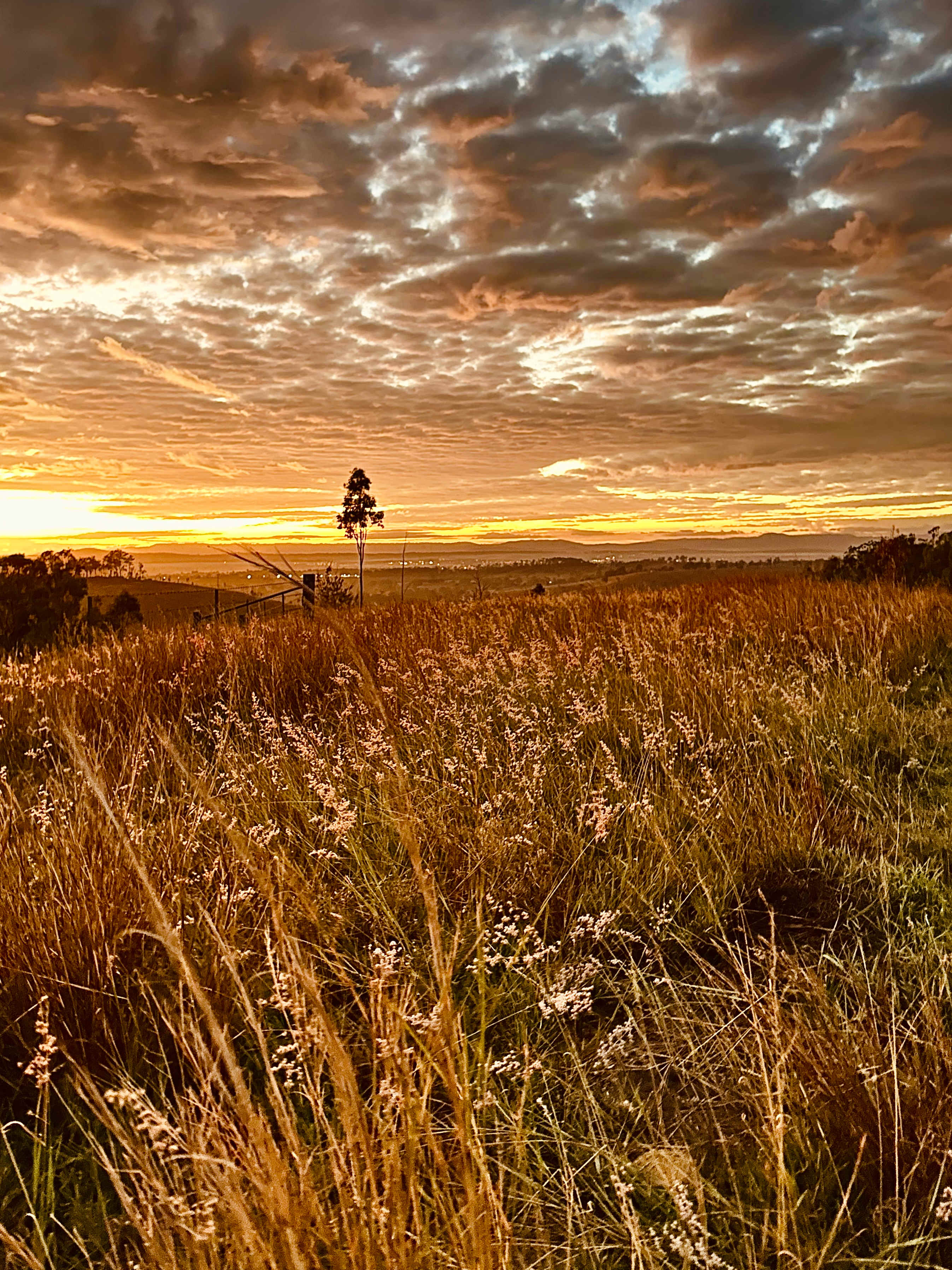 Juburra Country Camping