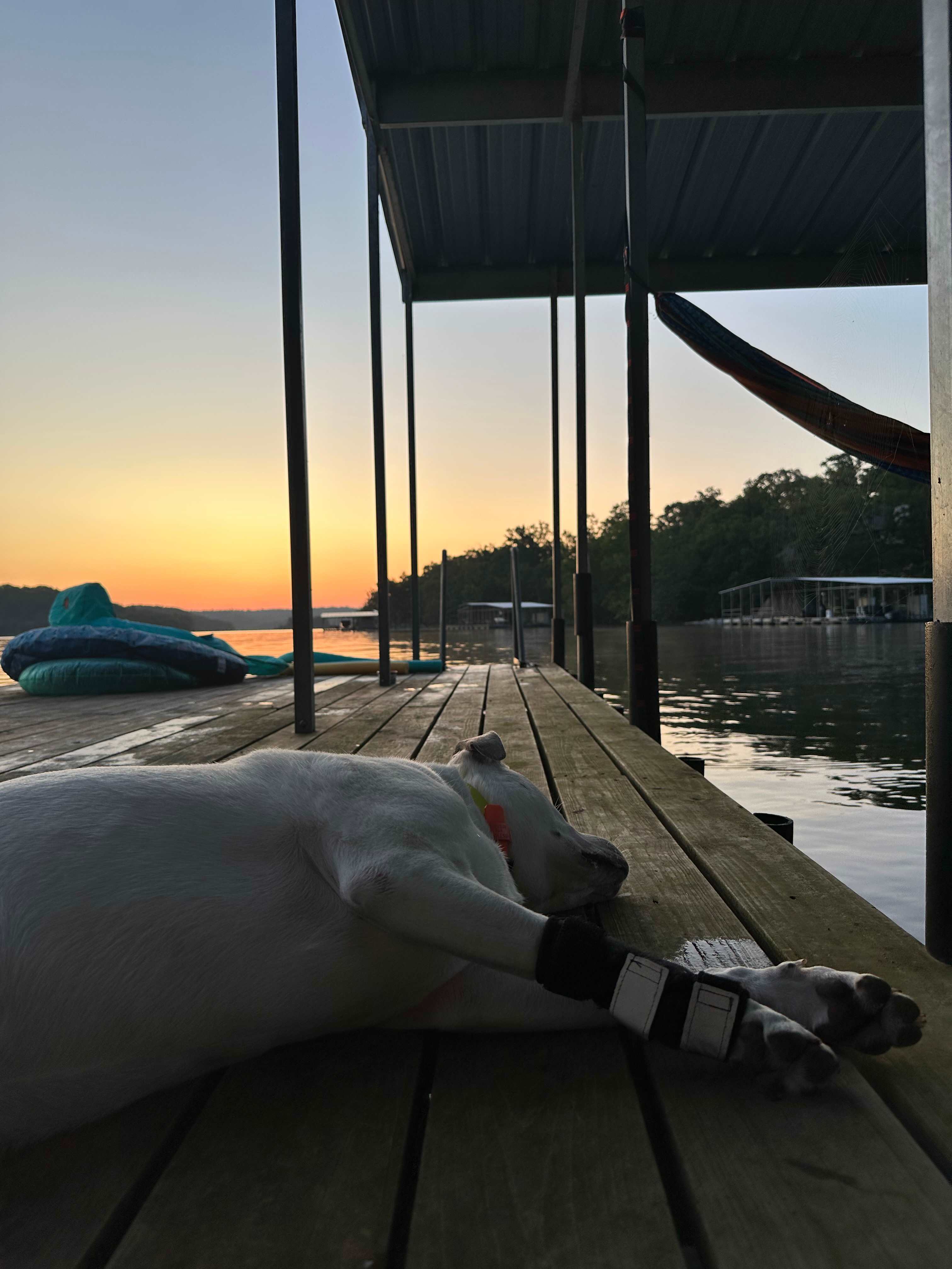 Fresh Life at Rocky Branch