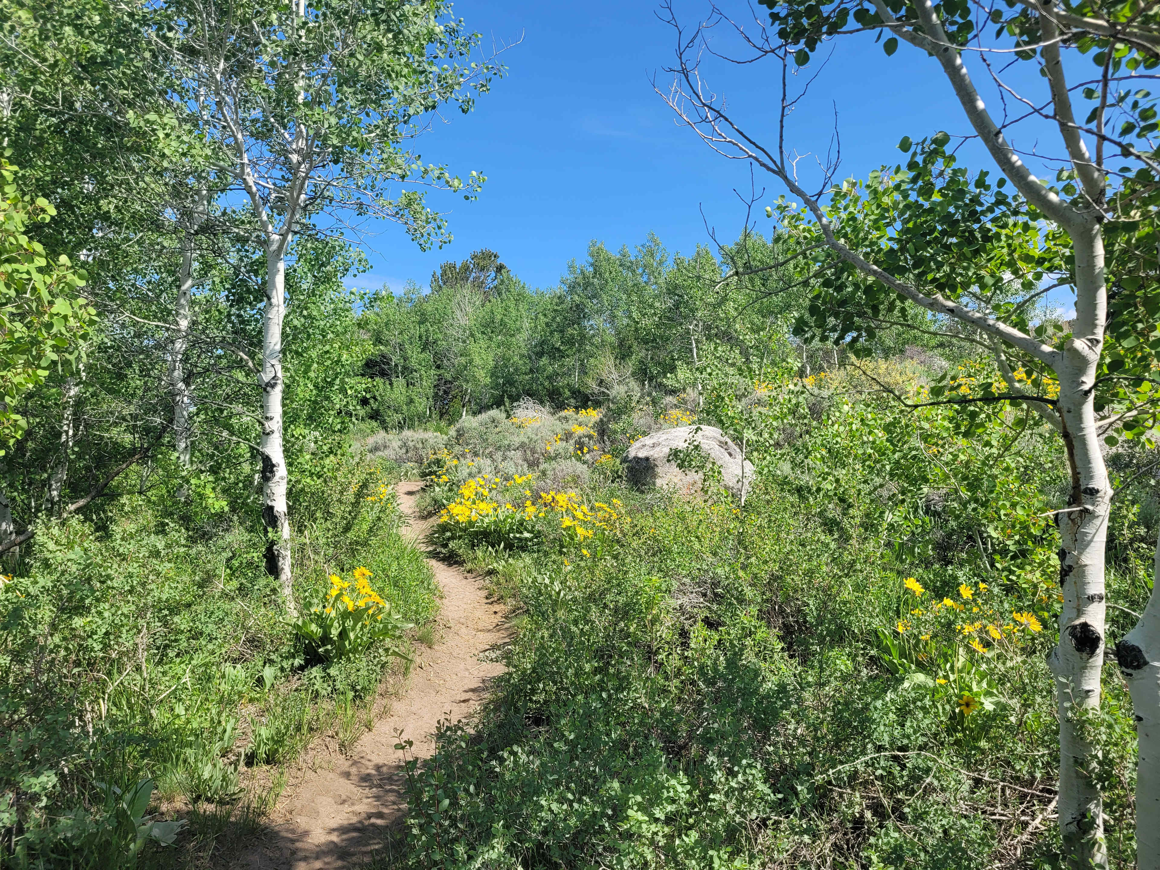 City of Rocks Retreat sites 8,9,10