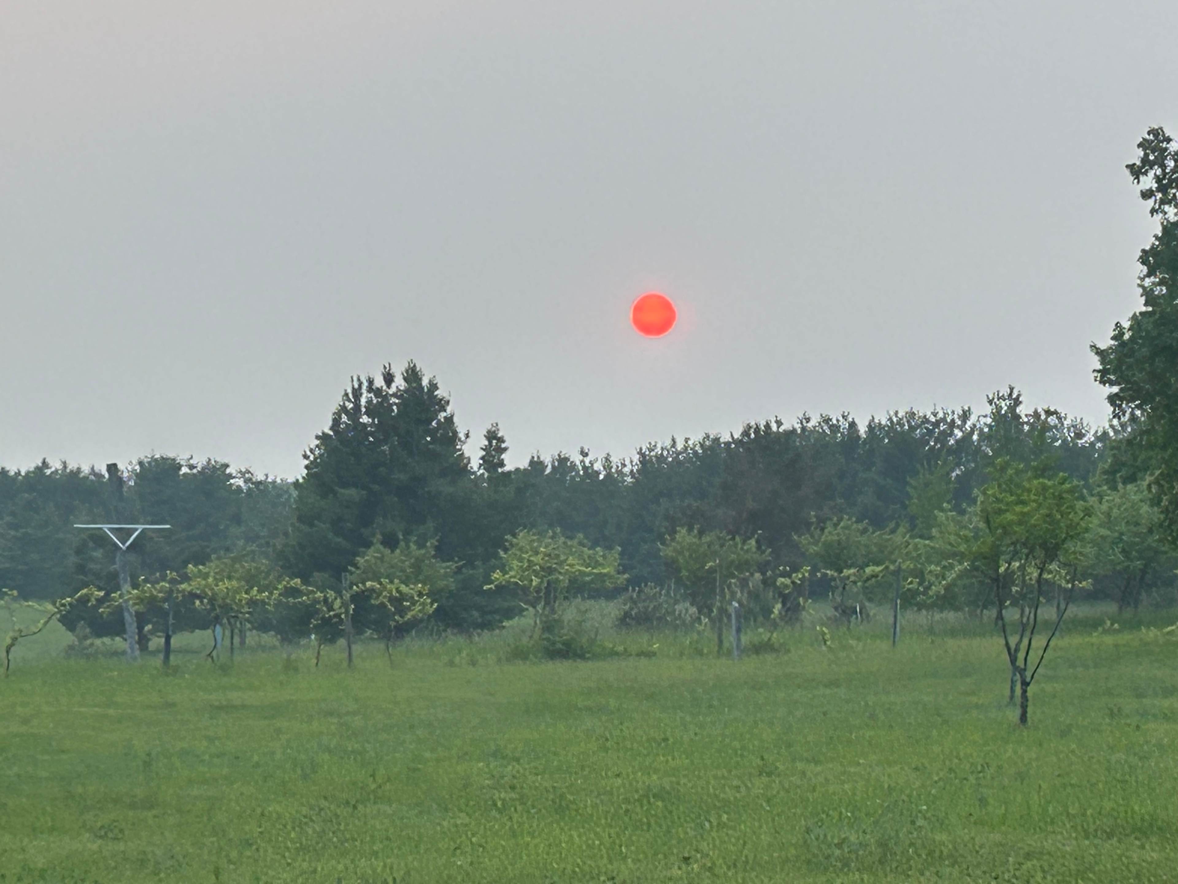 View of the sun through the Canadian smoke. Cool effect!