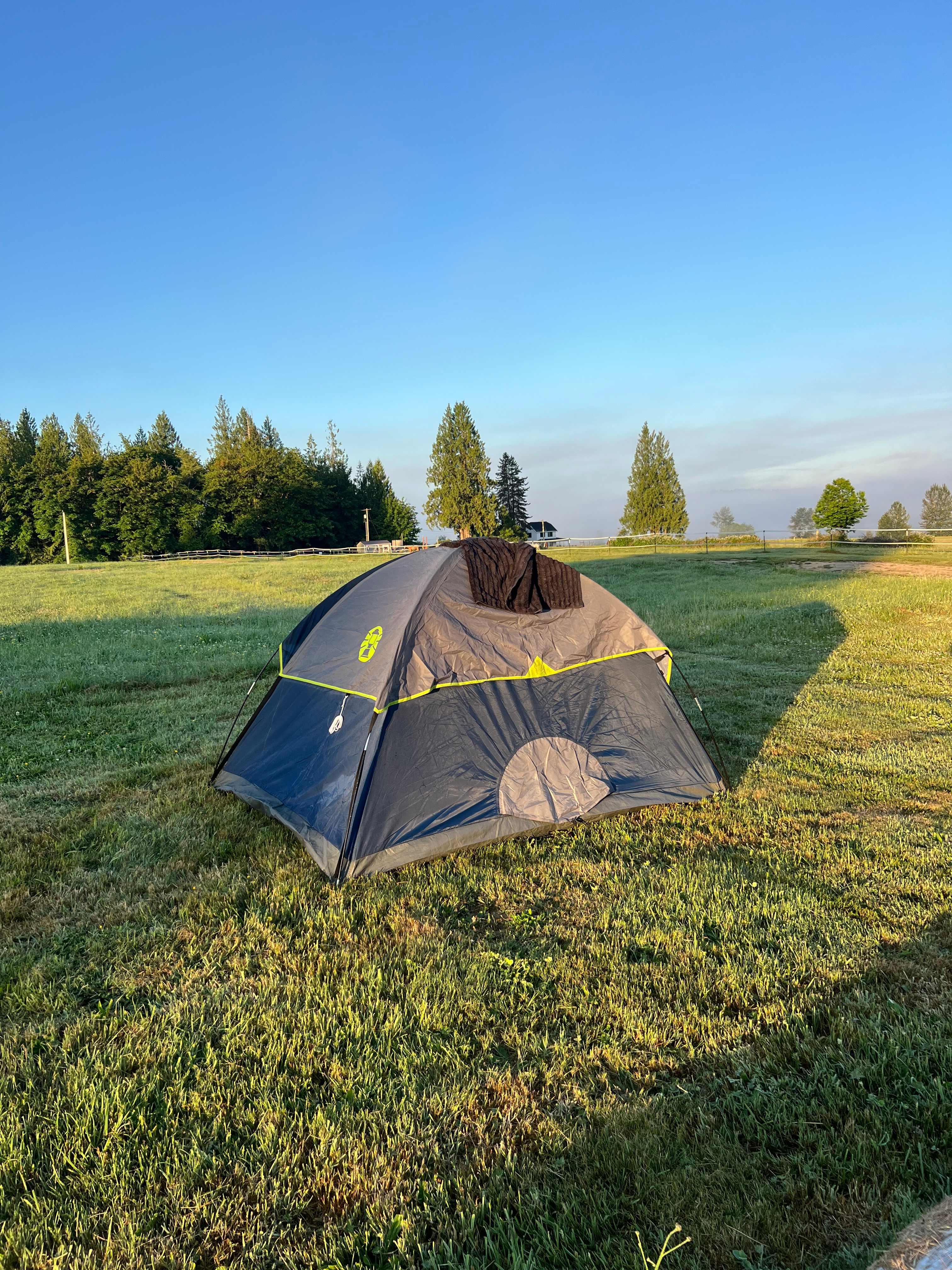 Honeysuckle Hollow