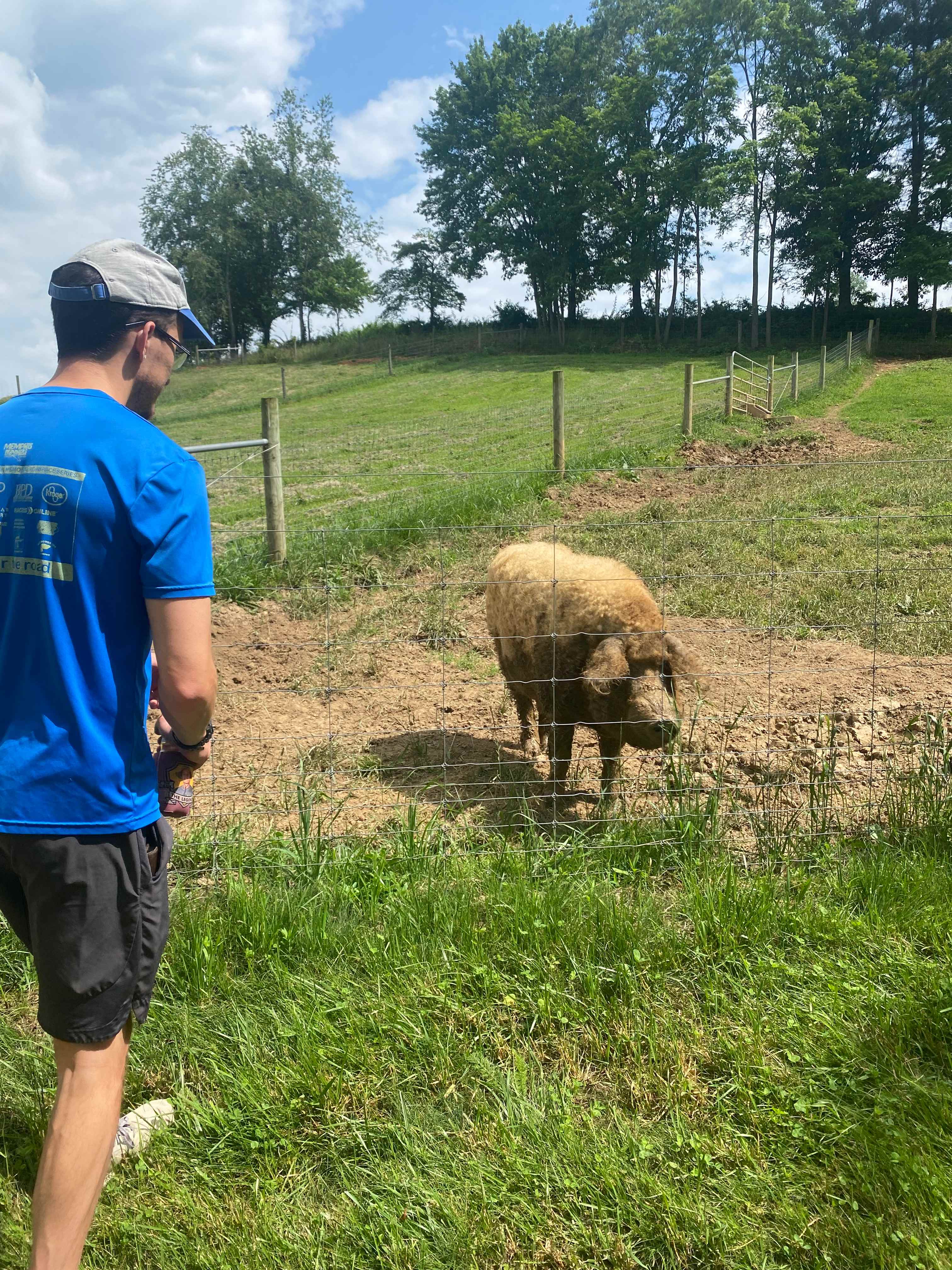 Smoky Mtn Mangalitsa River Ranch