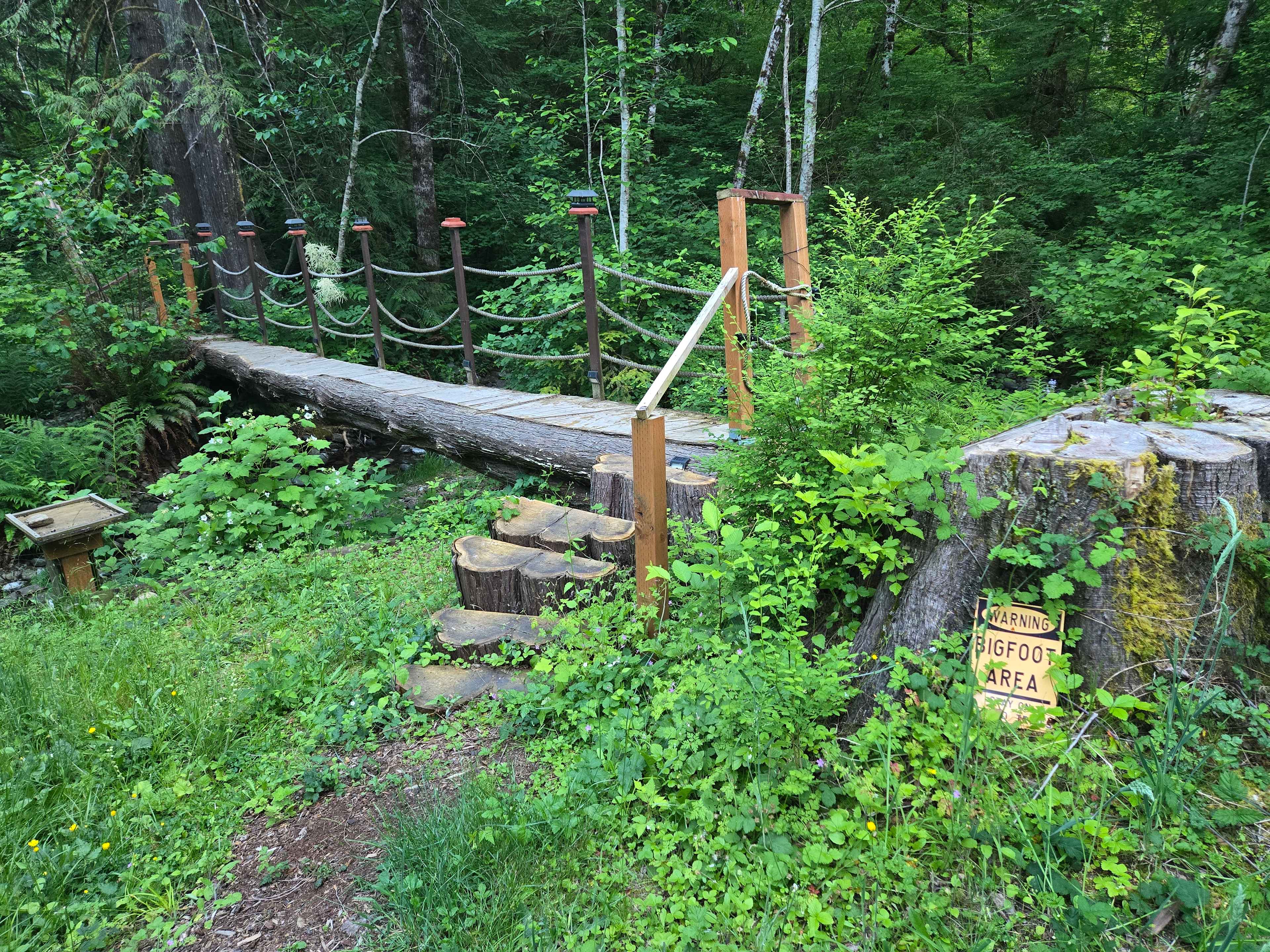 Olympic Wanderer~Creekside~HotTub