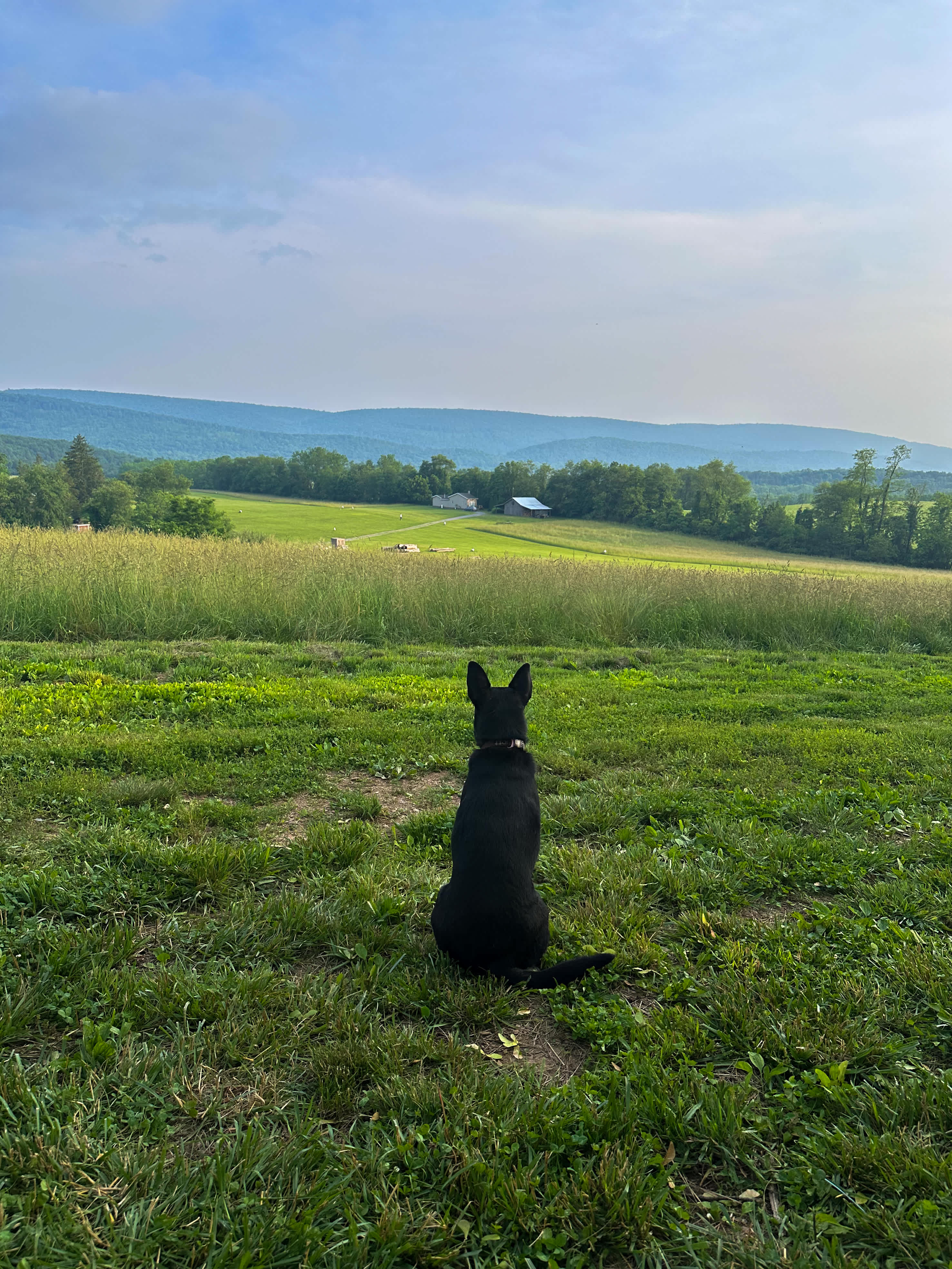 Fairview Farms Airfield