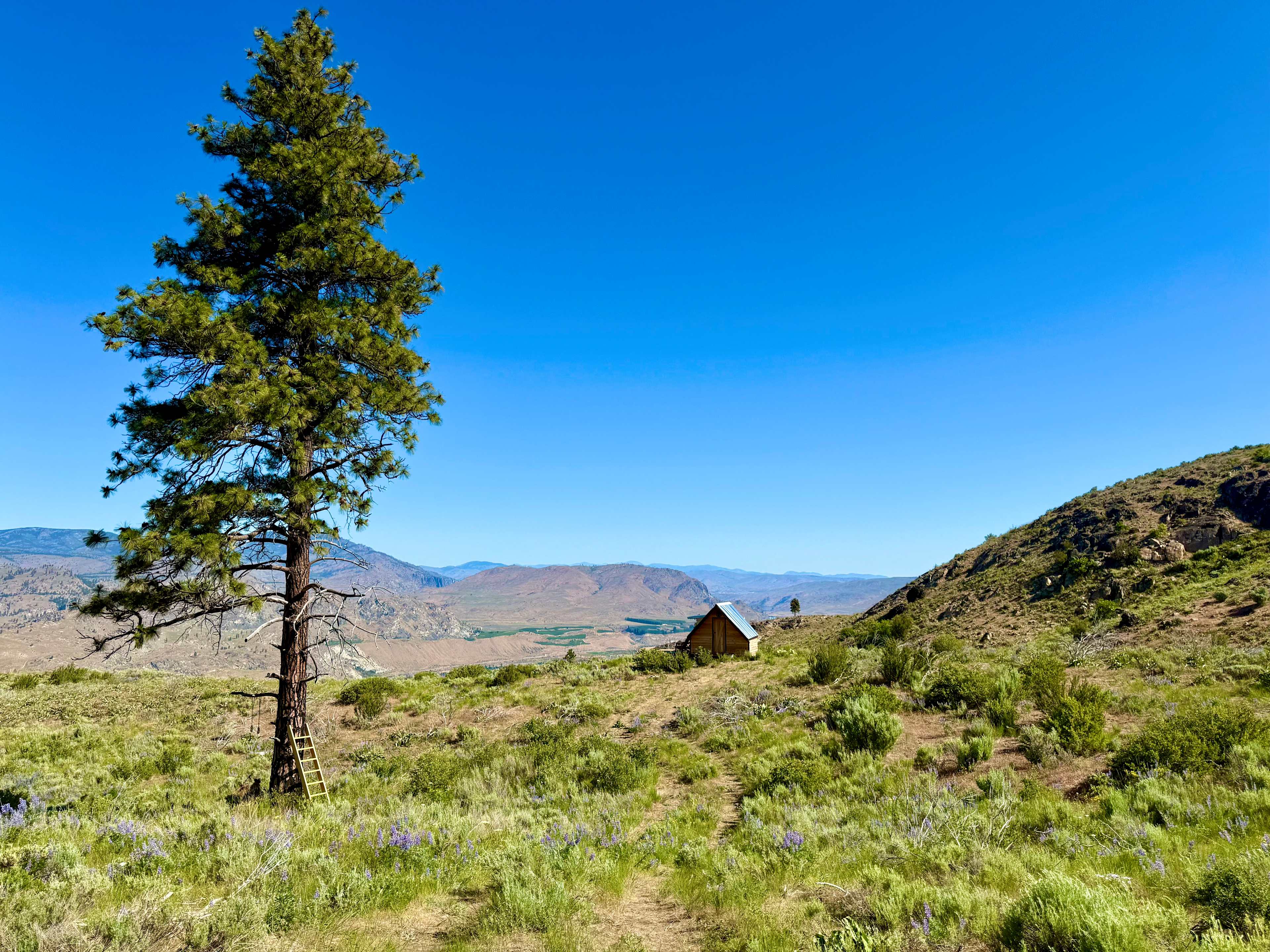 Sagebrush Hollow