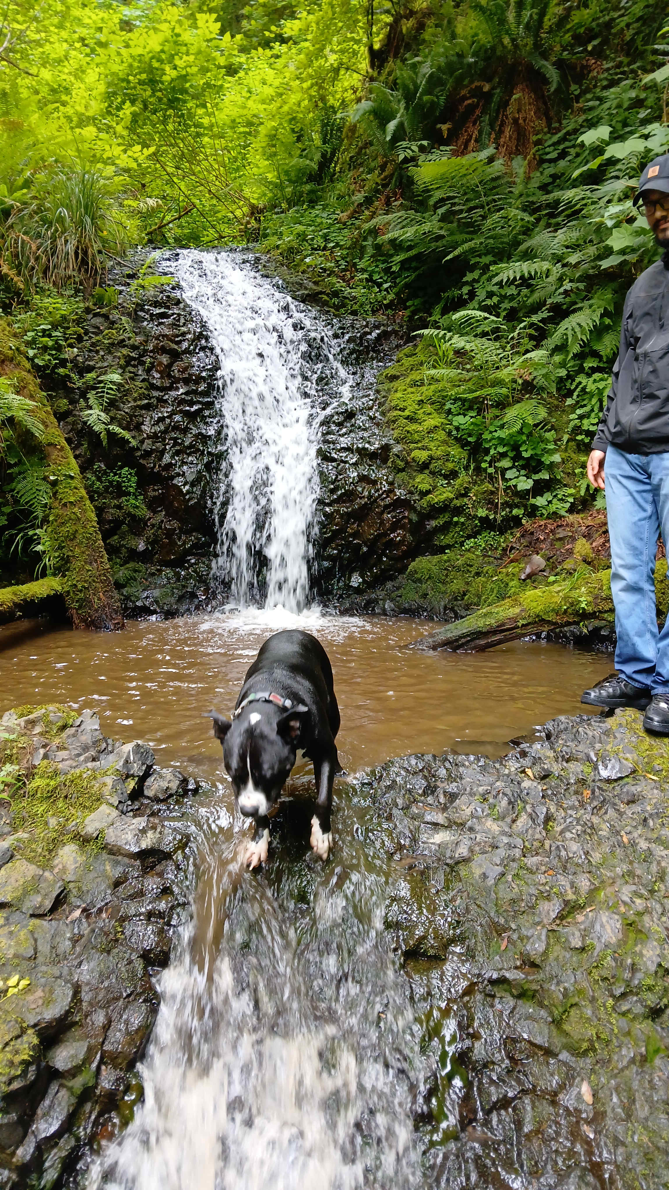 Favorite Creek Campground