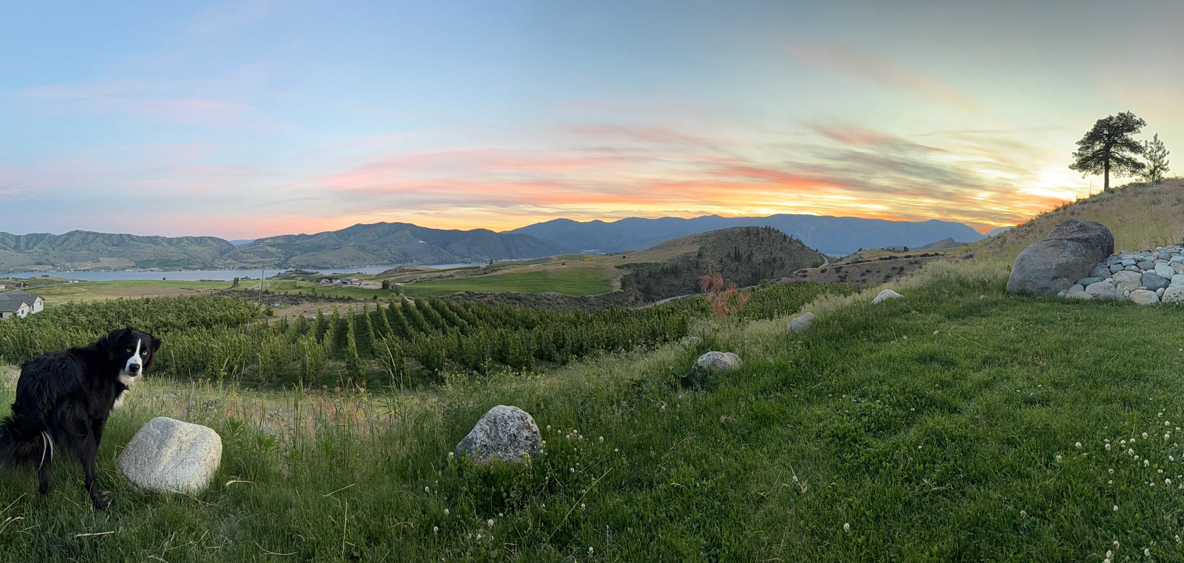 Farm Stays At Chelan Ranch