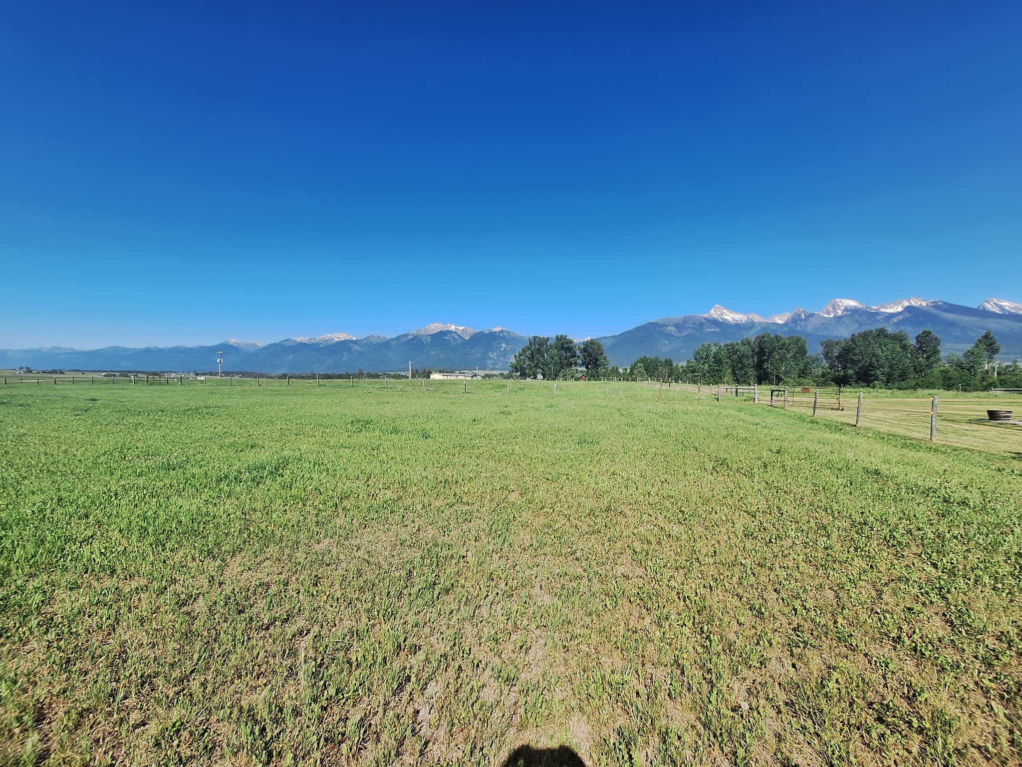 Mission Mountain Field of Dreams