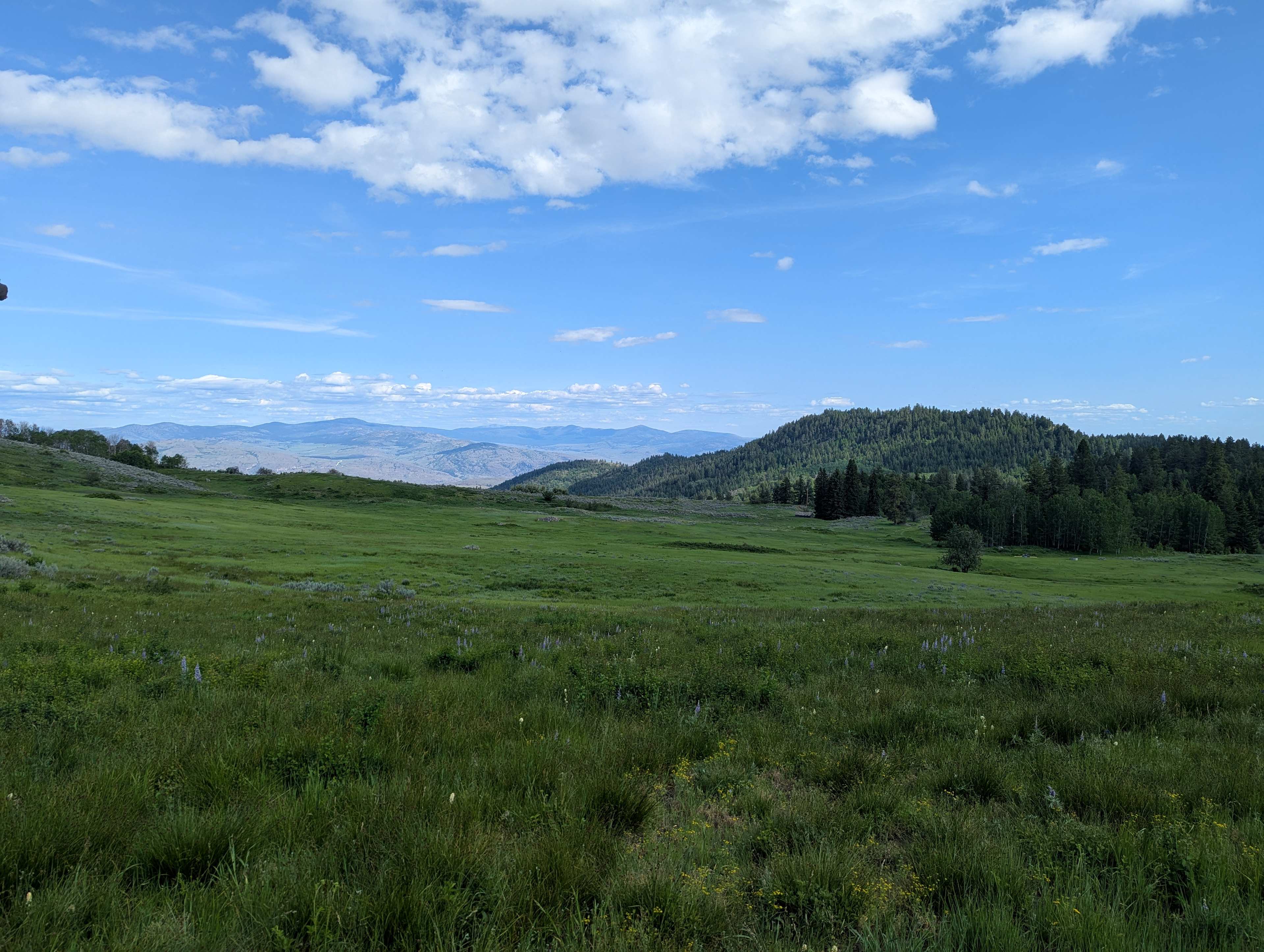 View from the porch