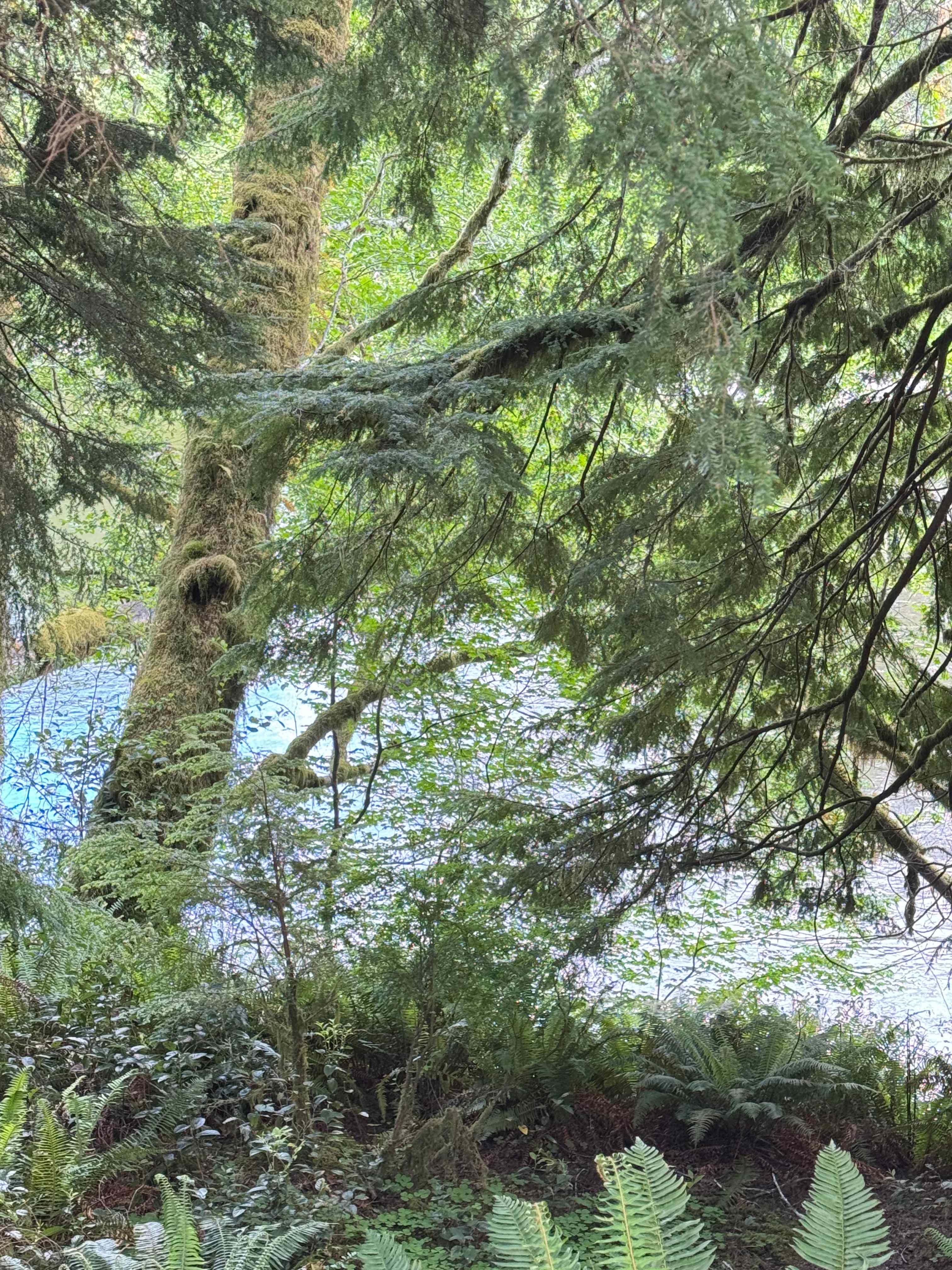 Twin Rivers Campground