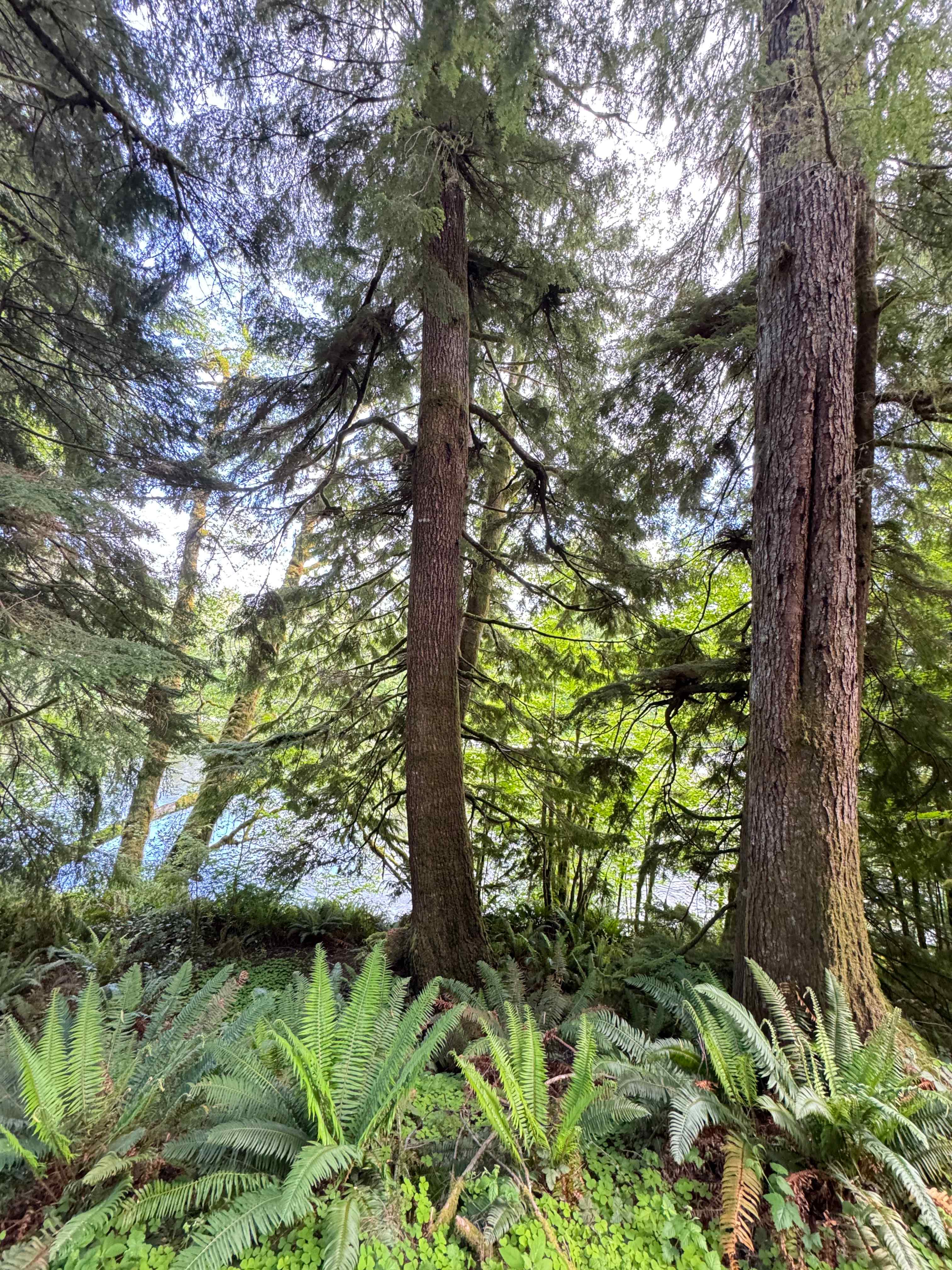 Twin Rivers Campground