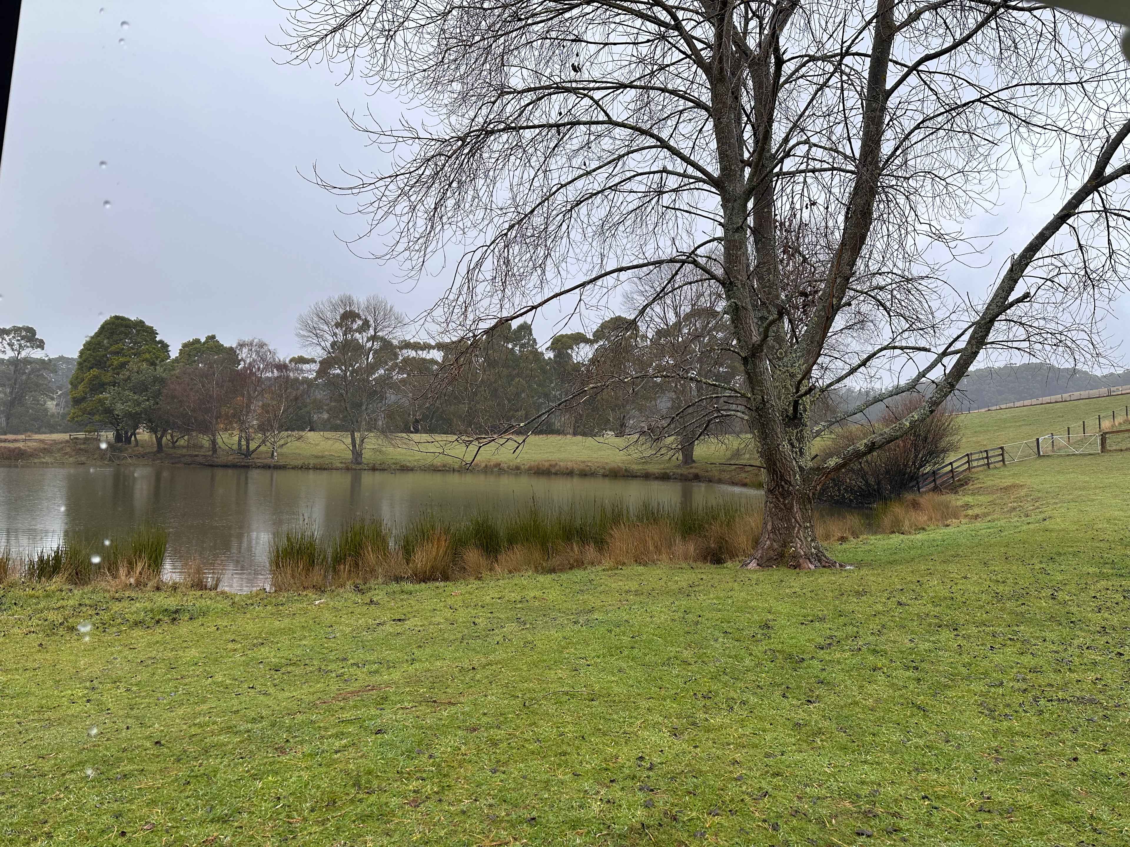 View towards dam site 3