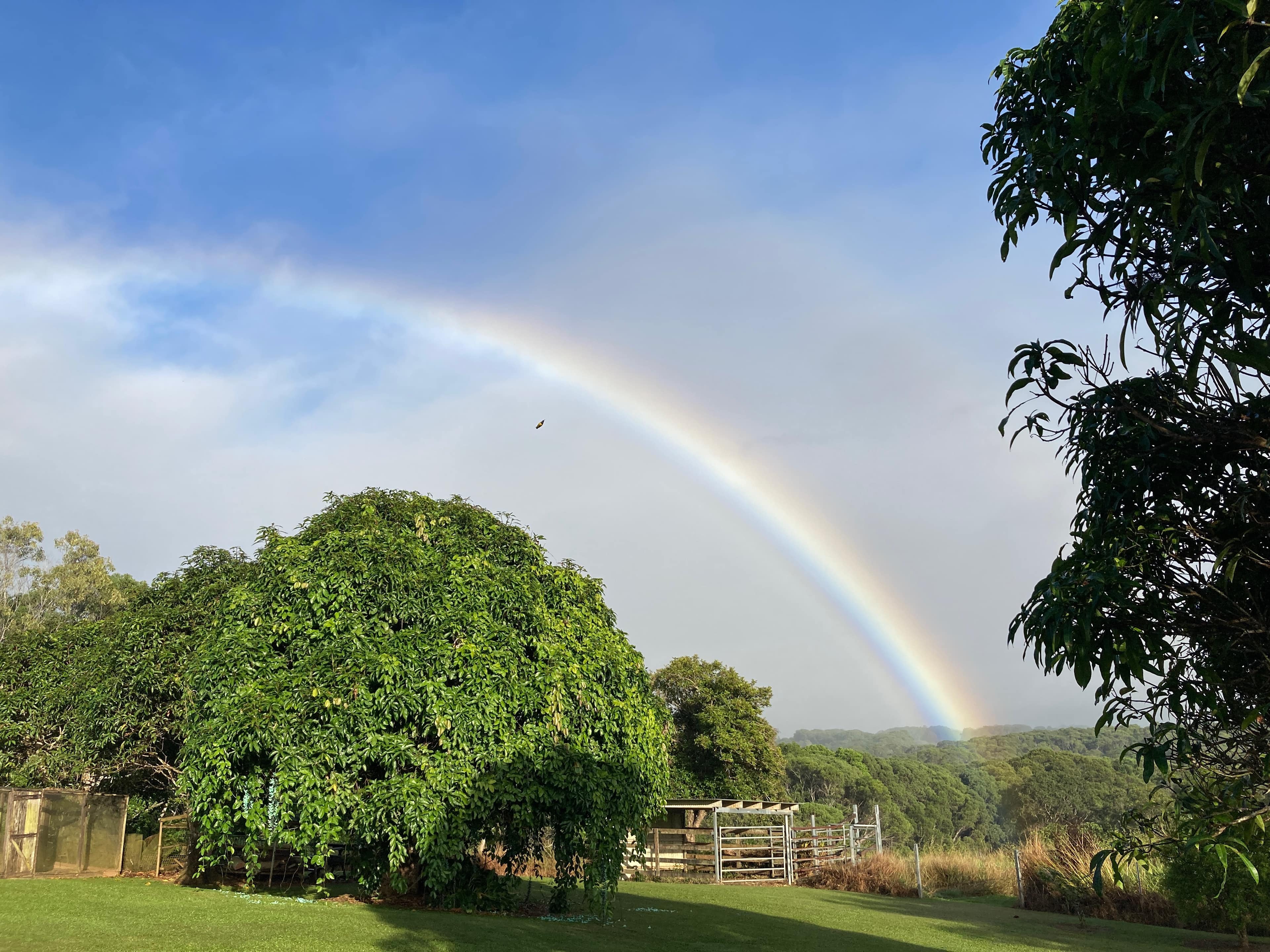 Twitcher’s Hill