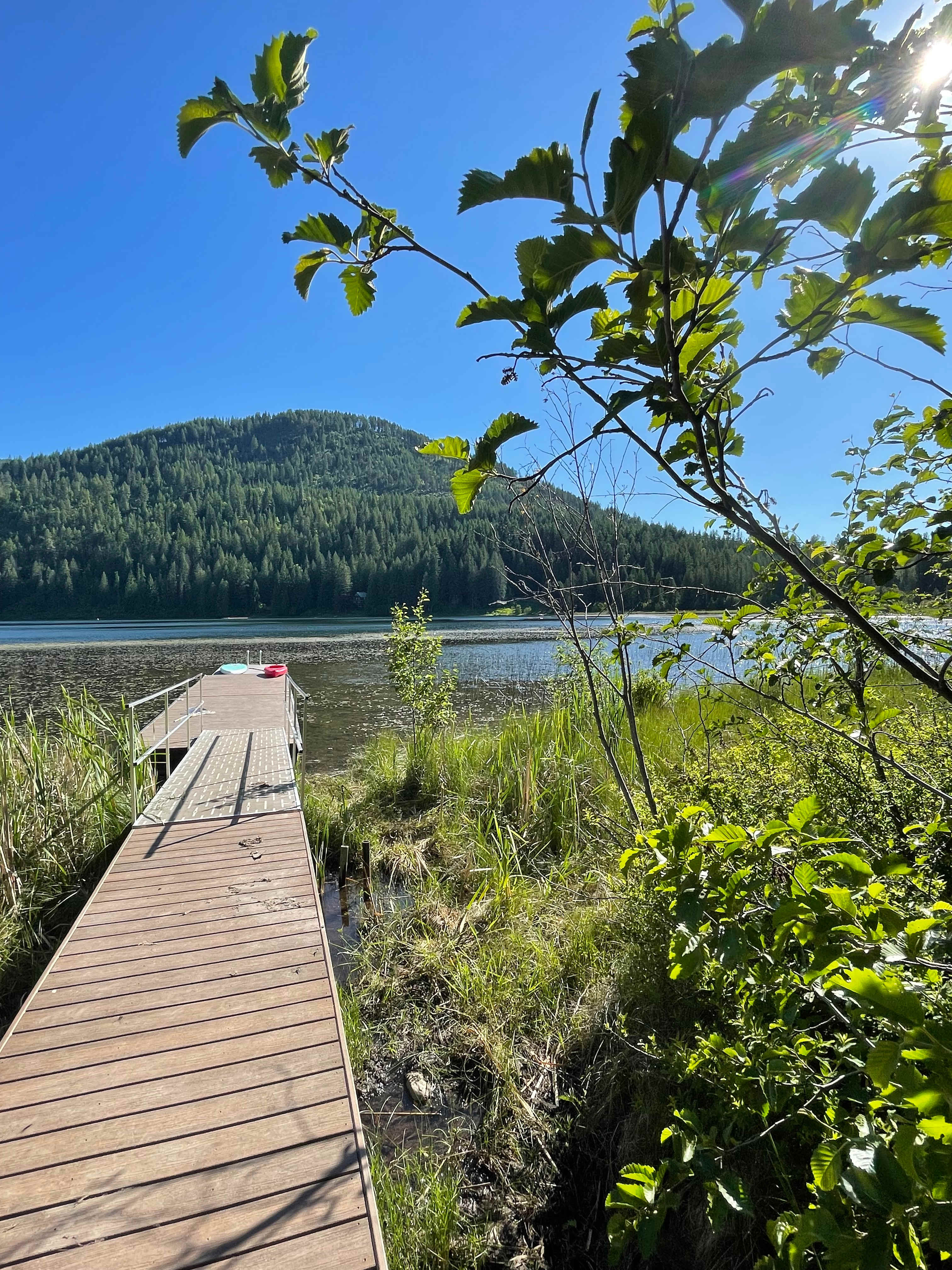 Paradise on Mirror Lake