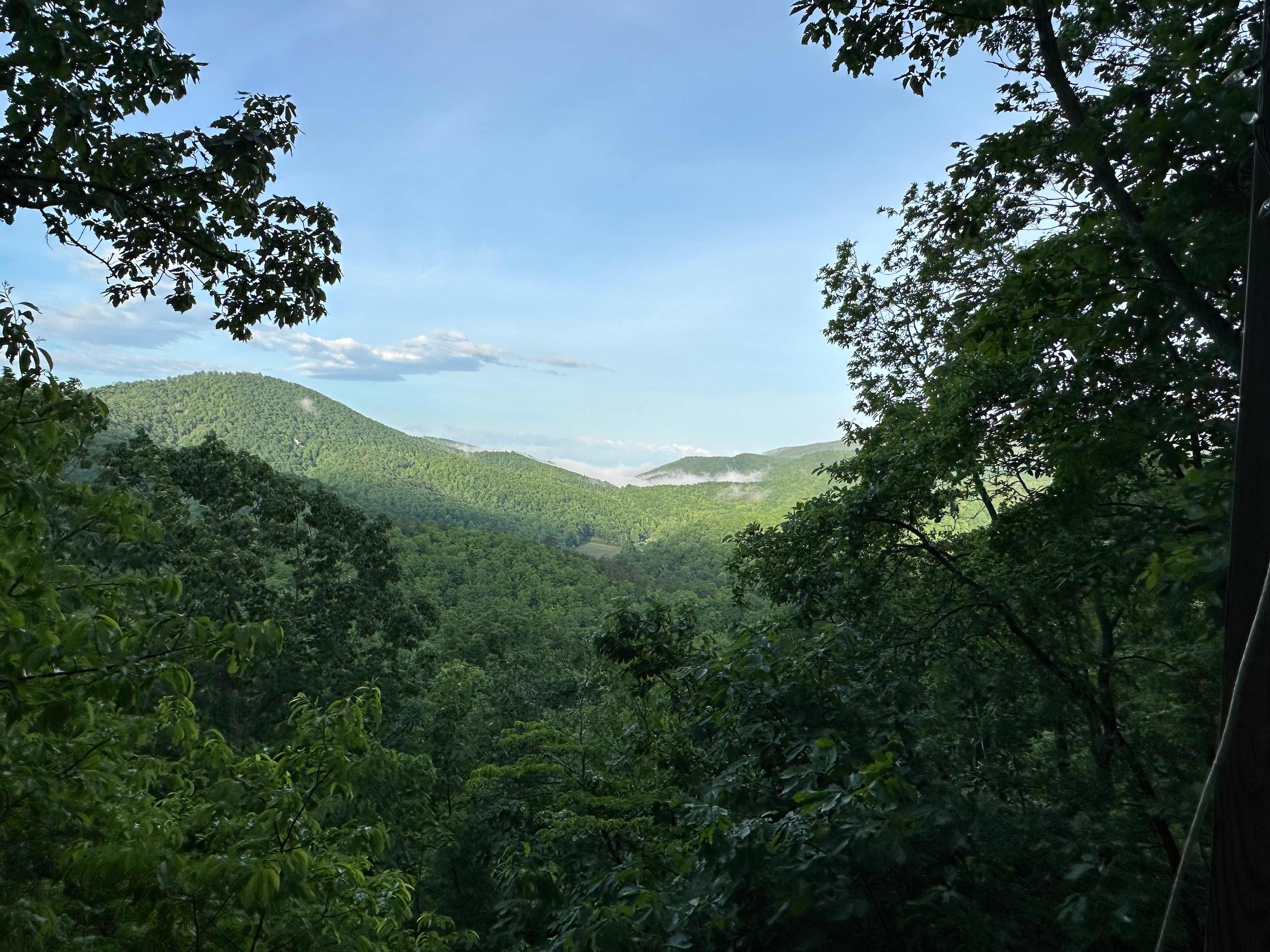 Above the Fray Glamping, Black Mtn.