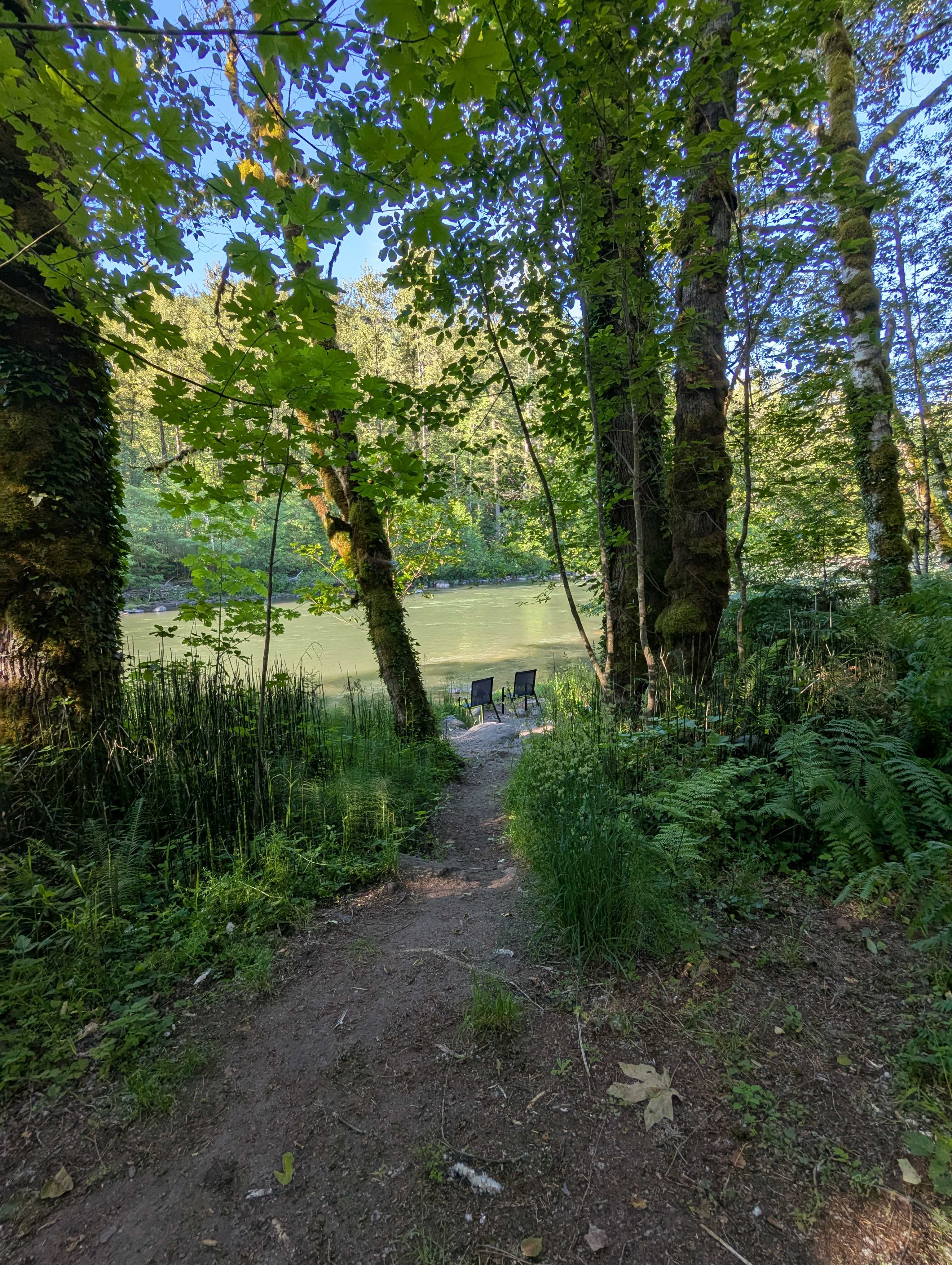 Mt. Hood Enchanted Forest
