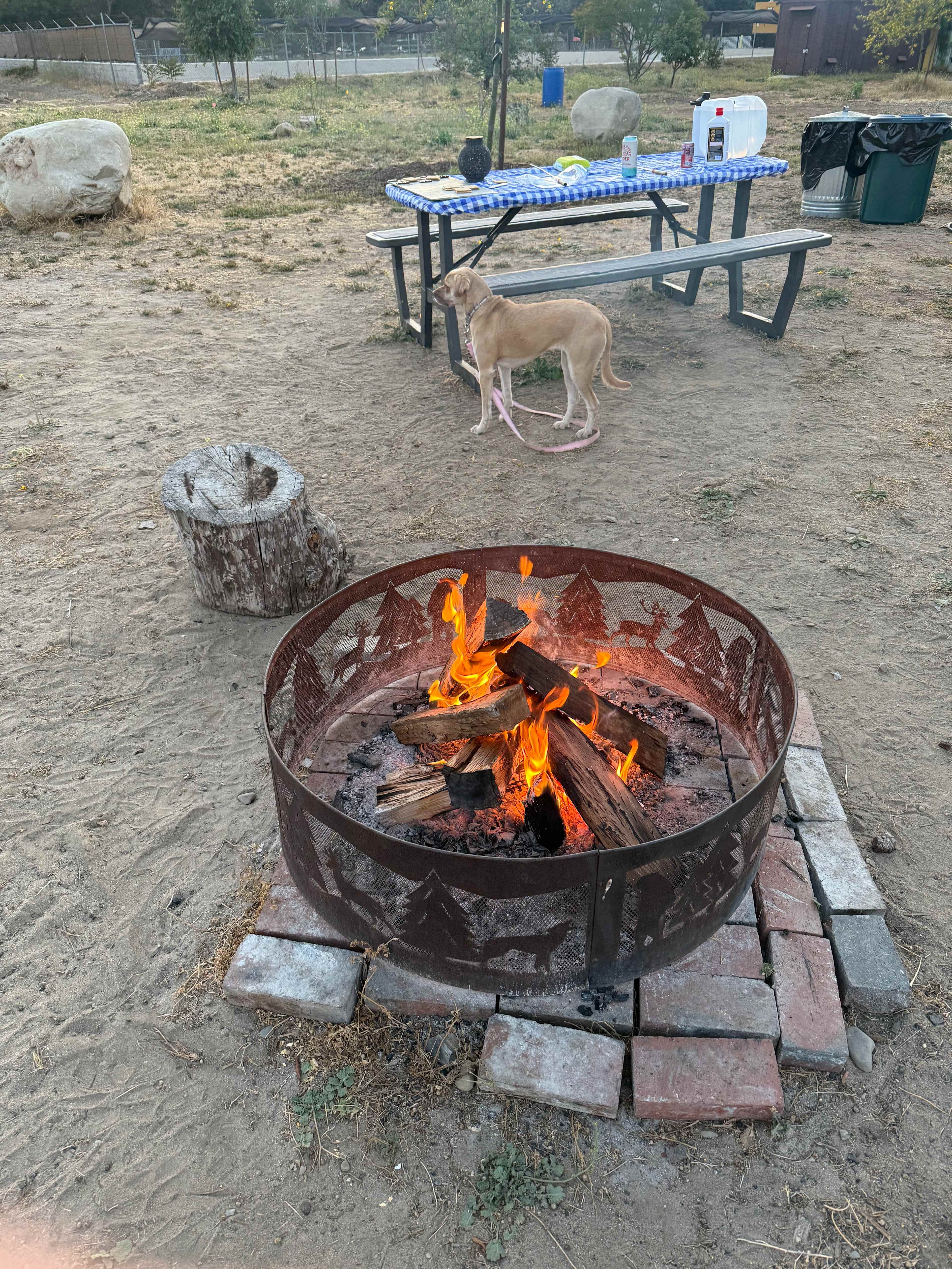 Arber-Moore's Ranch