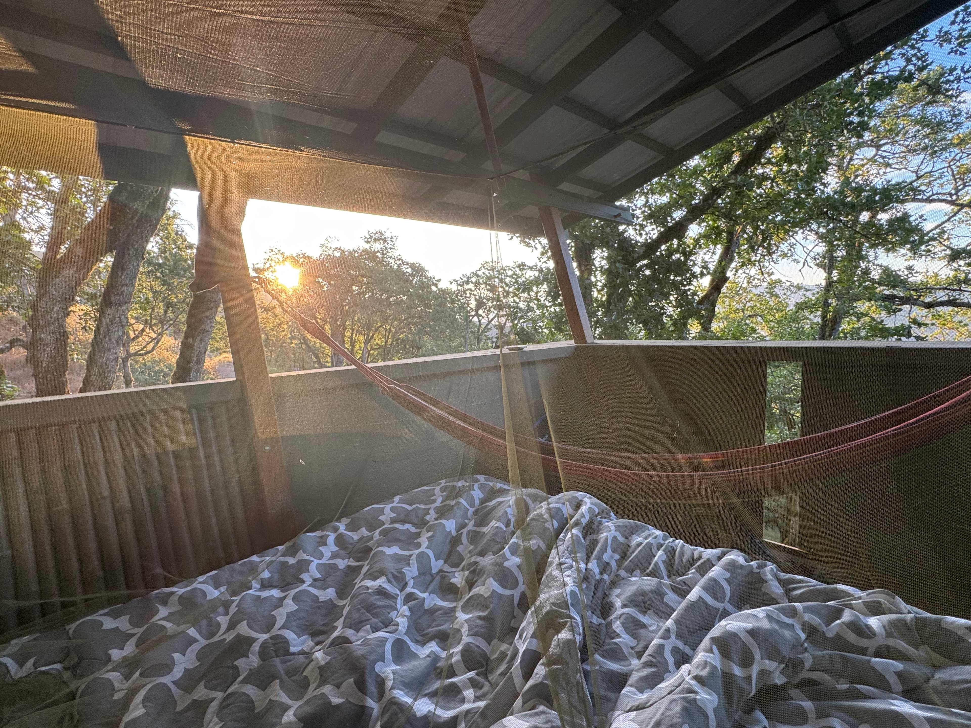 Morning light 