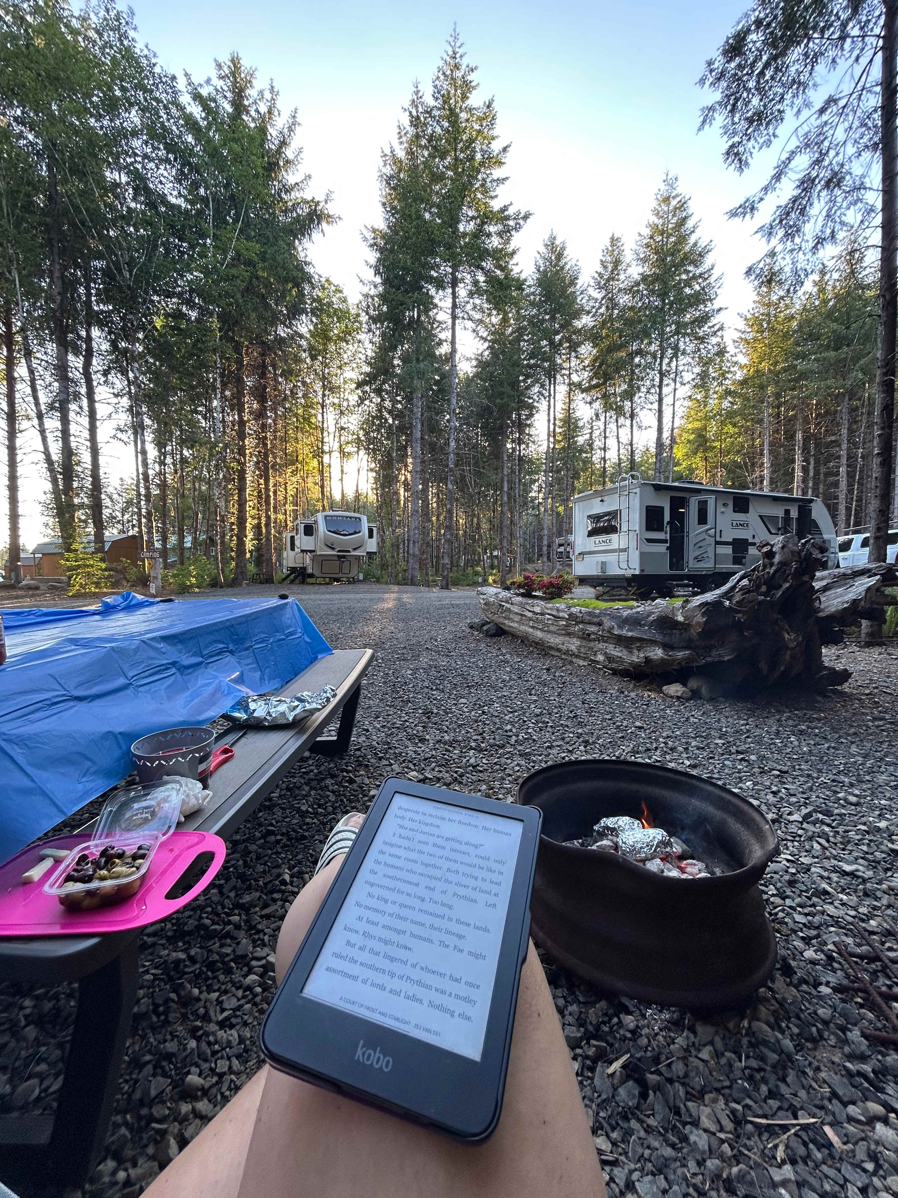 Picture of the site