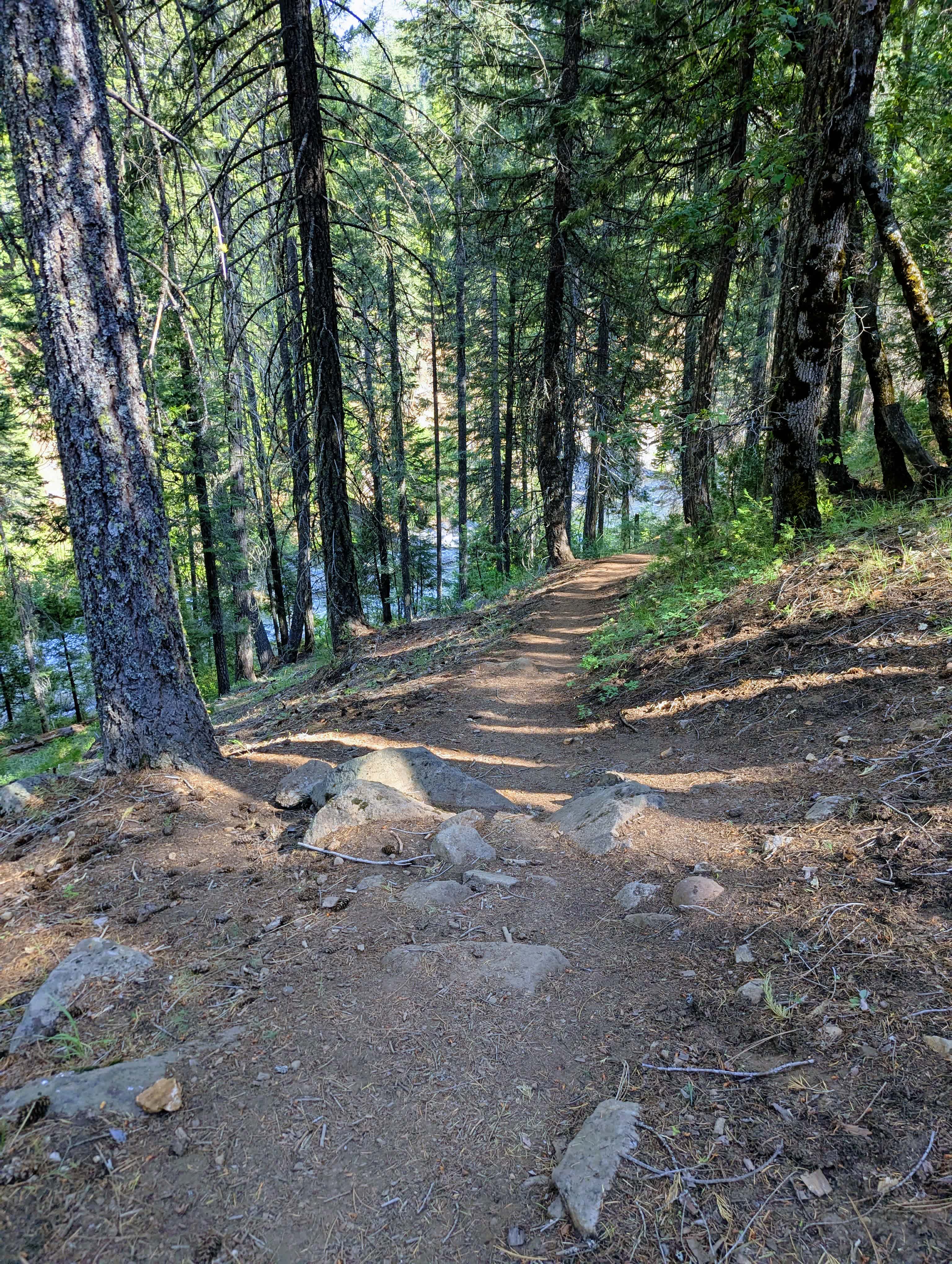 Trail to Mill Creek