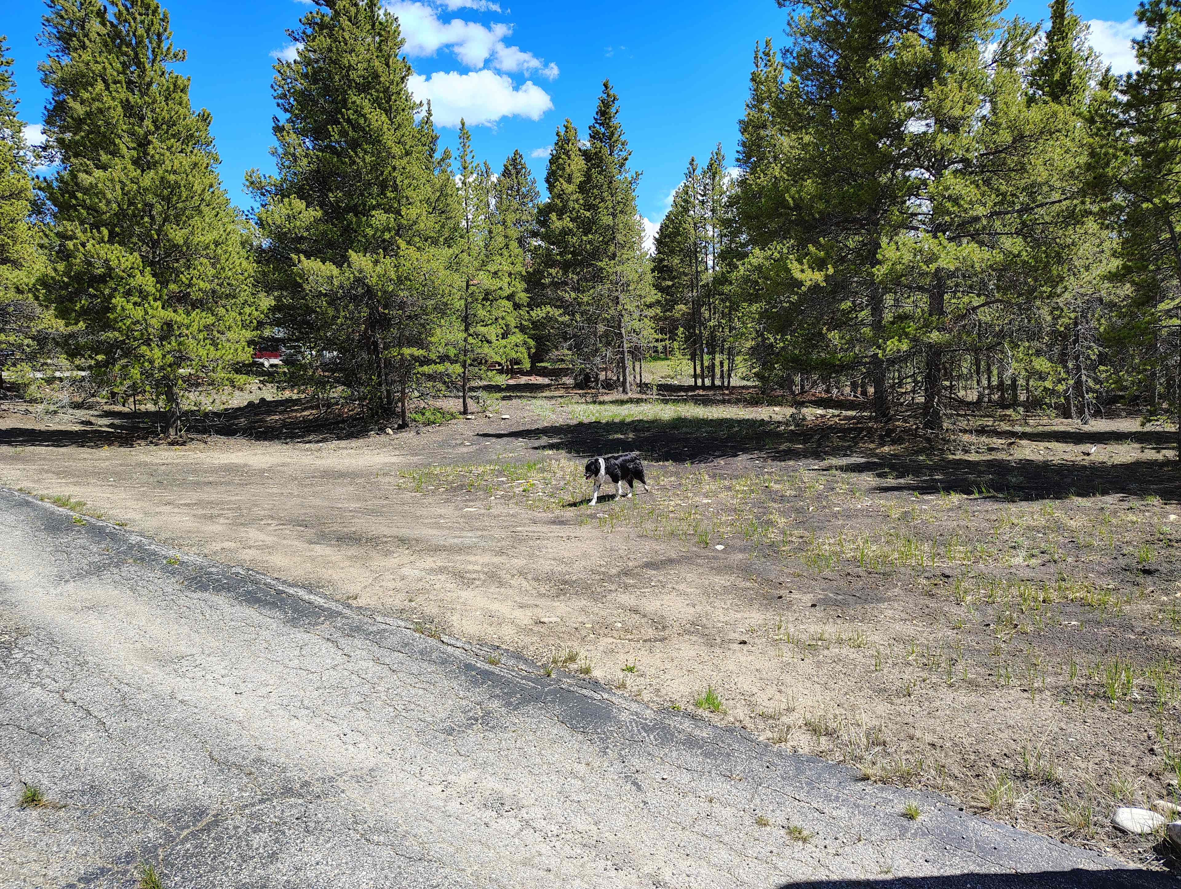 View of the site - facing south