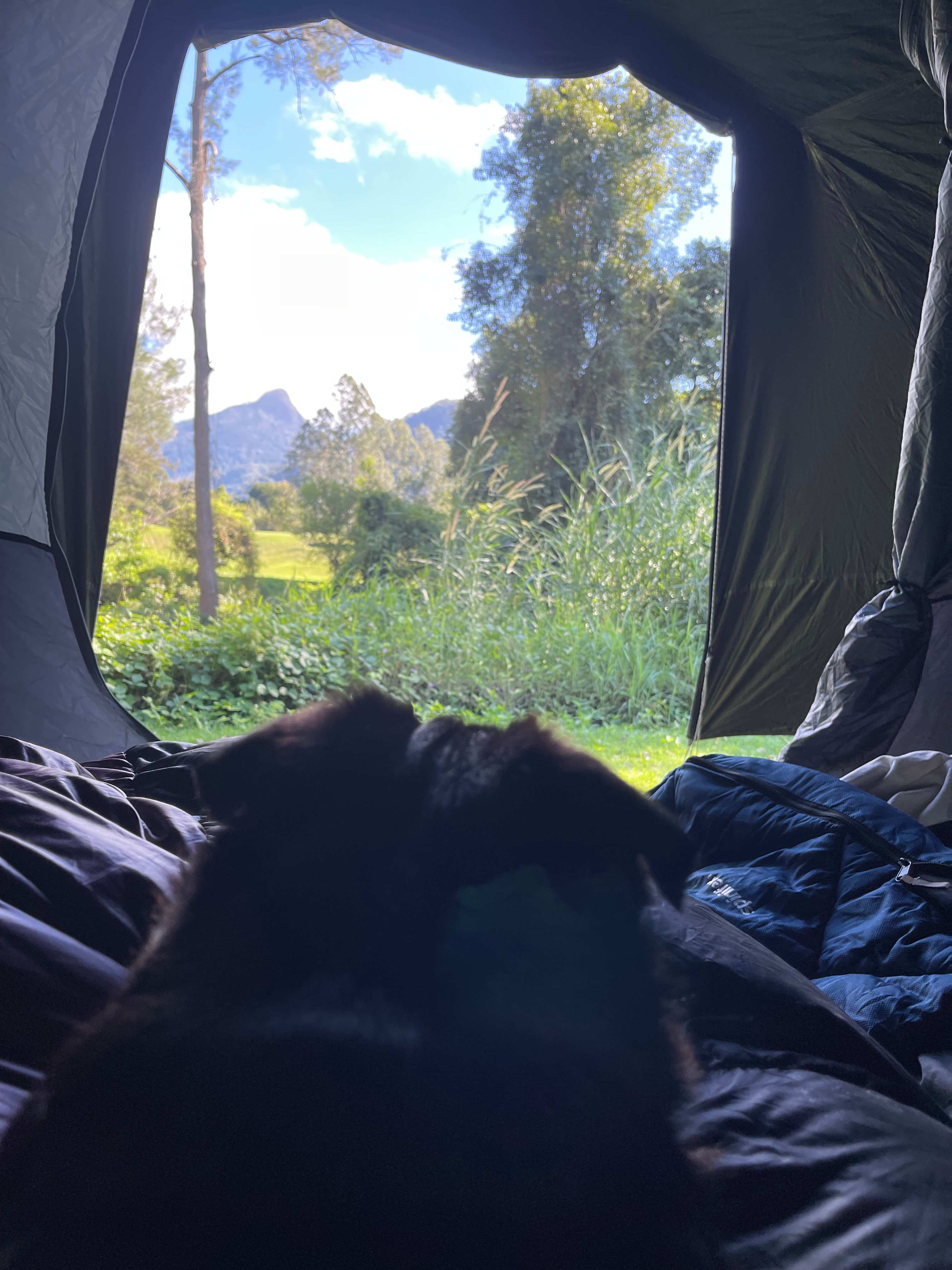 Windmill Creek Camp
