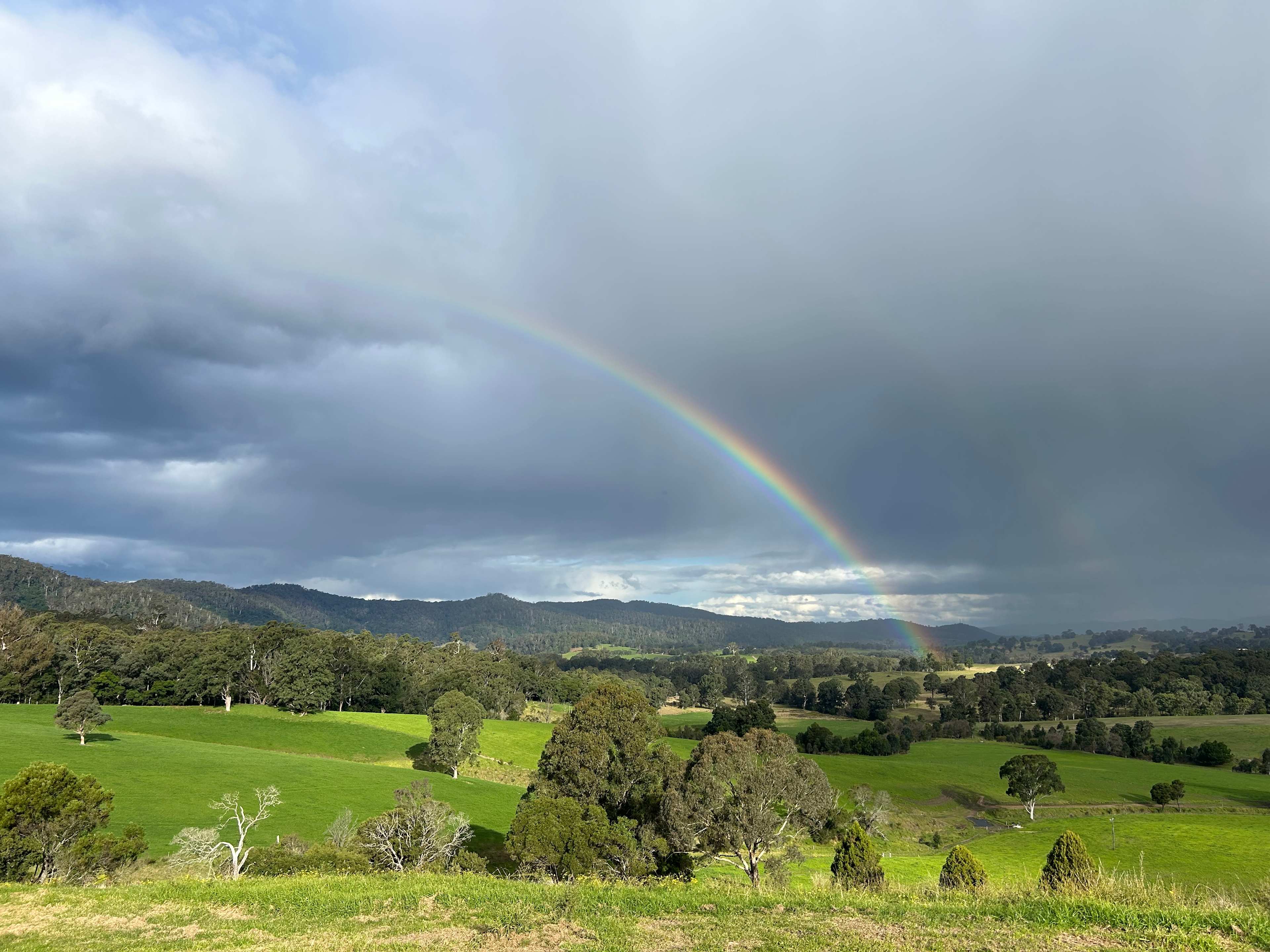 Sapphire Coast Dairy-Homestead