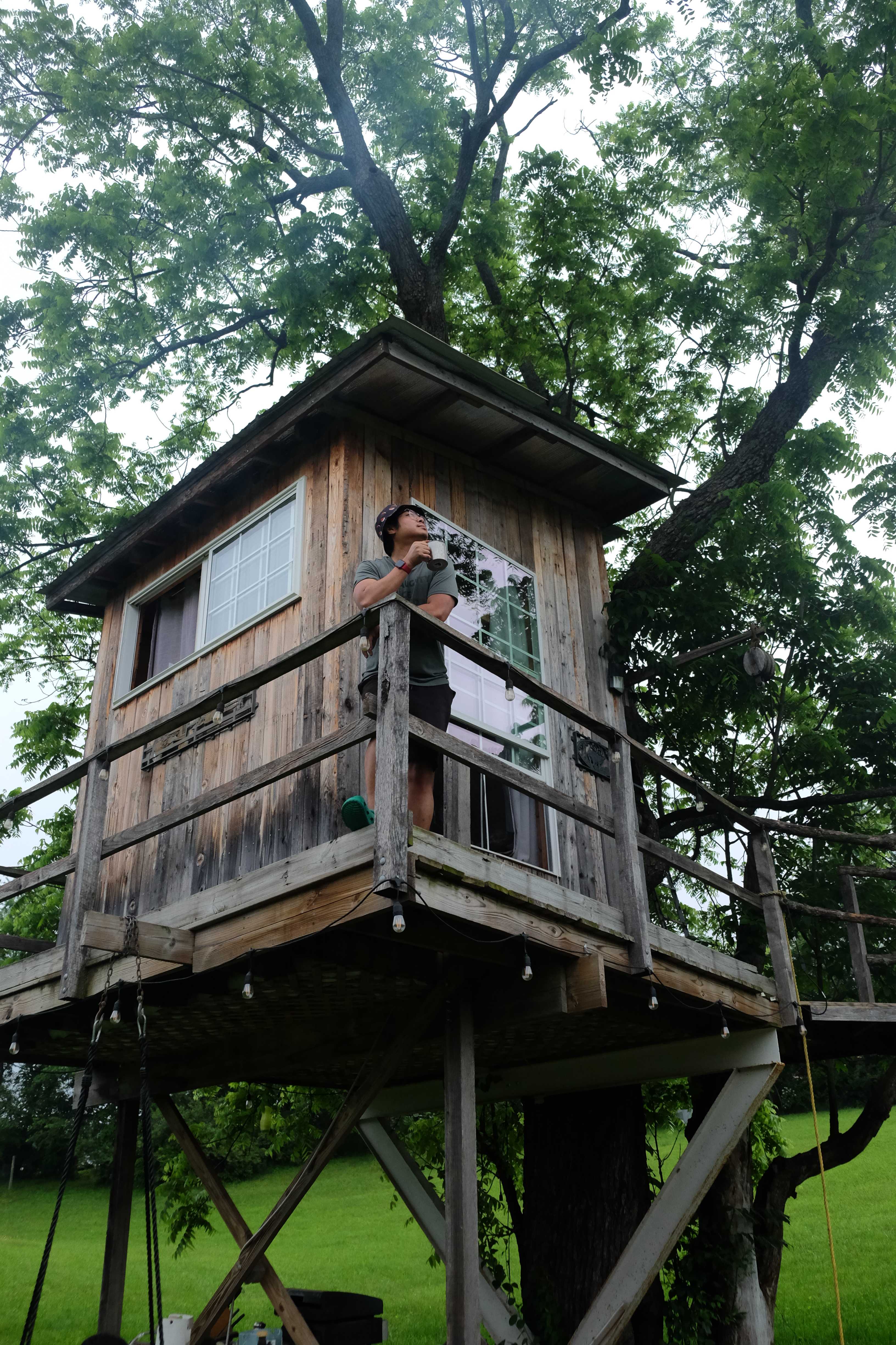 Coffee and treehouse