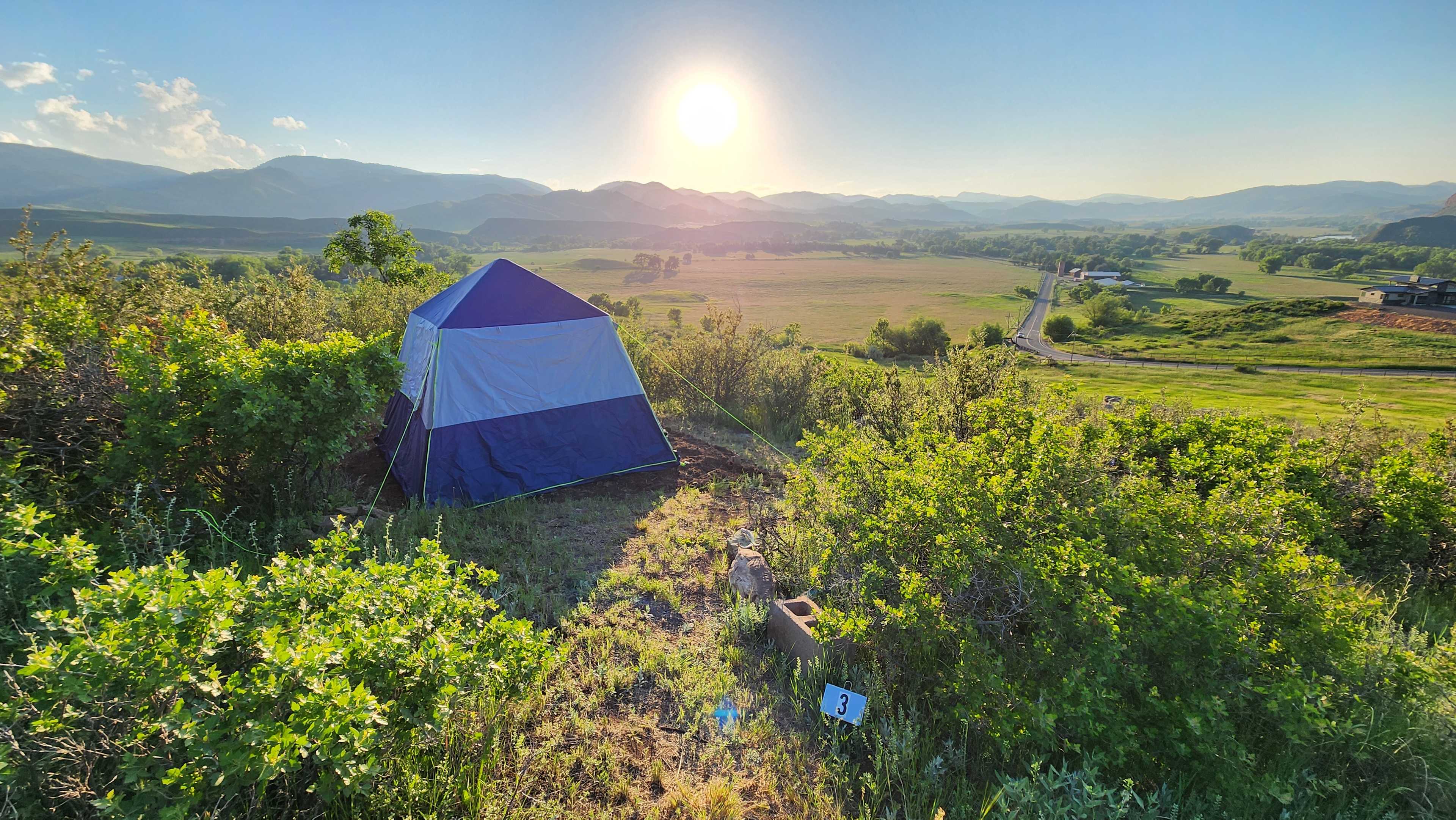 Bingham Hill