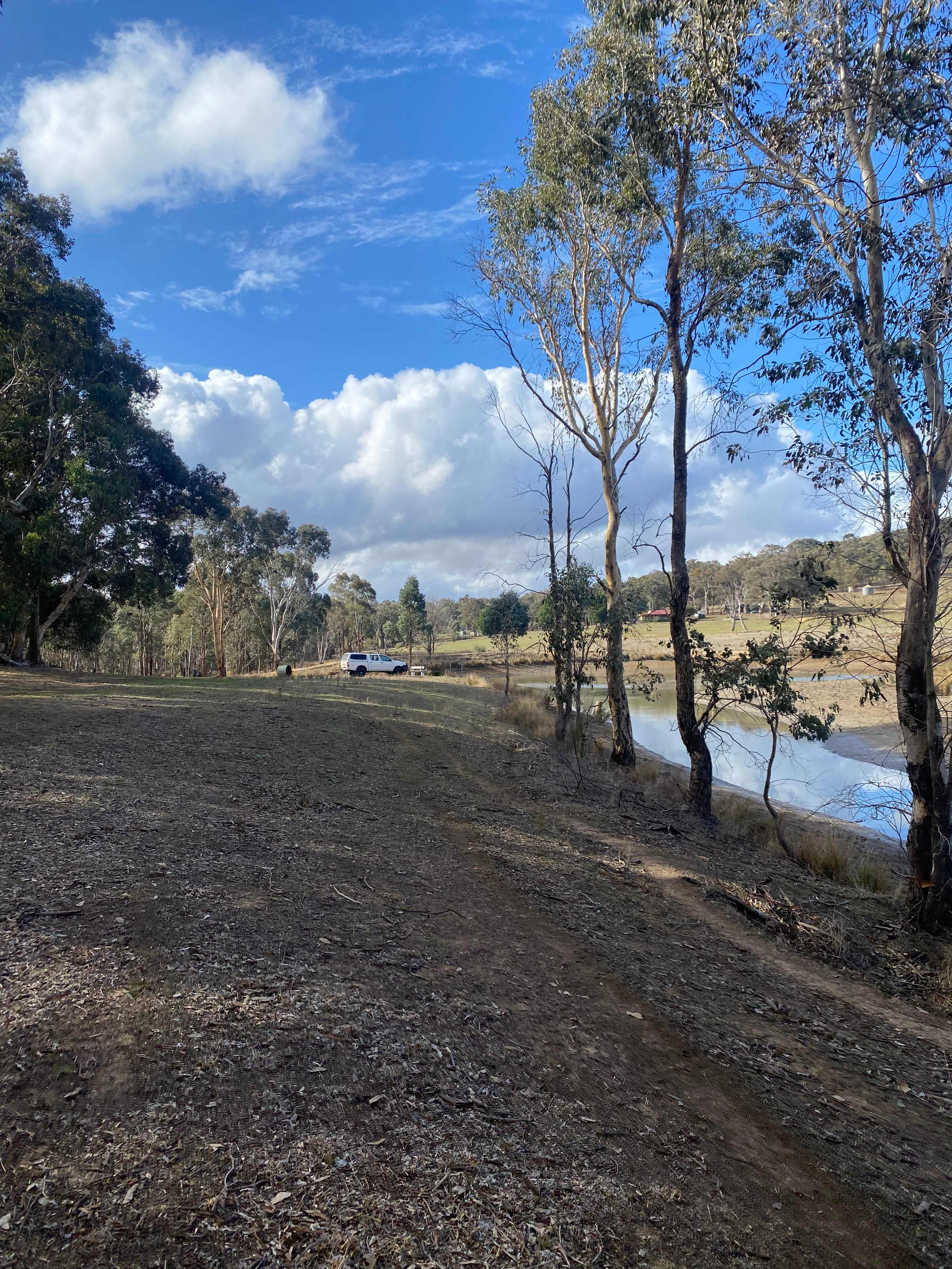 Picture of the site