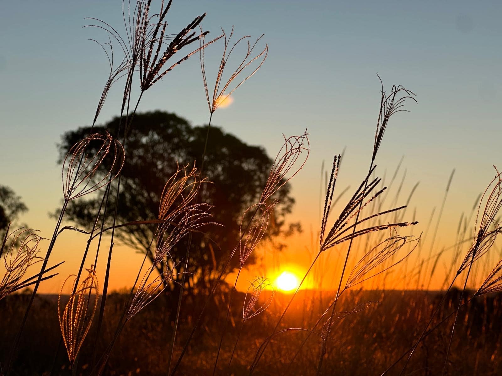 Mountview Farmstay