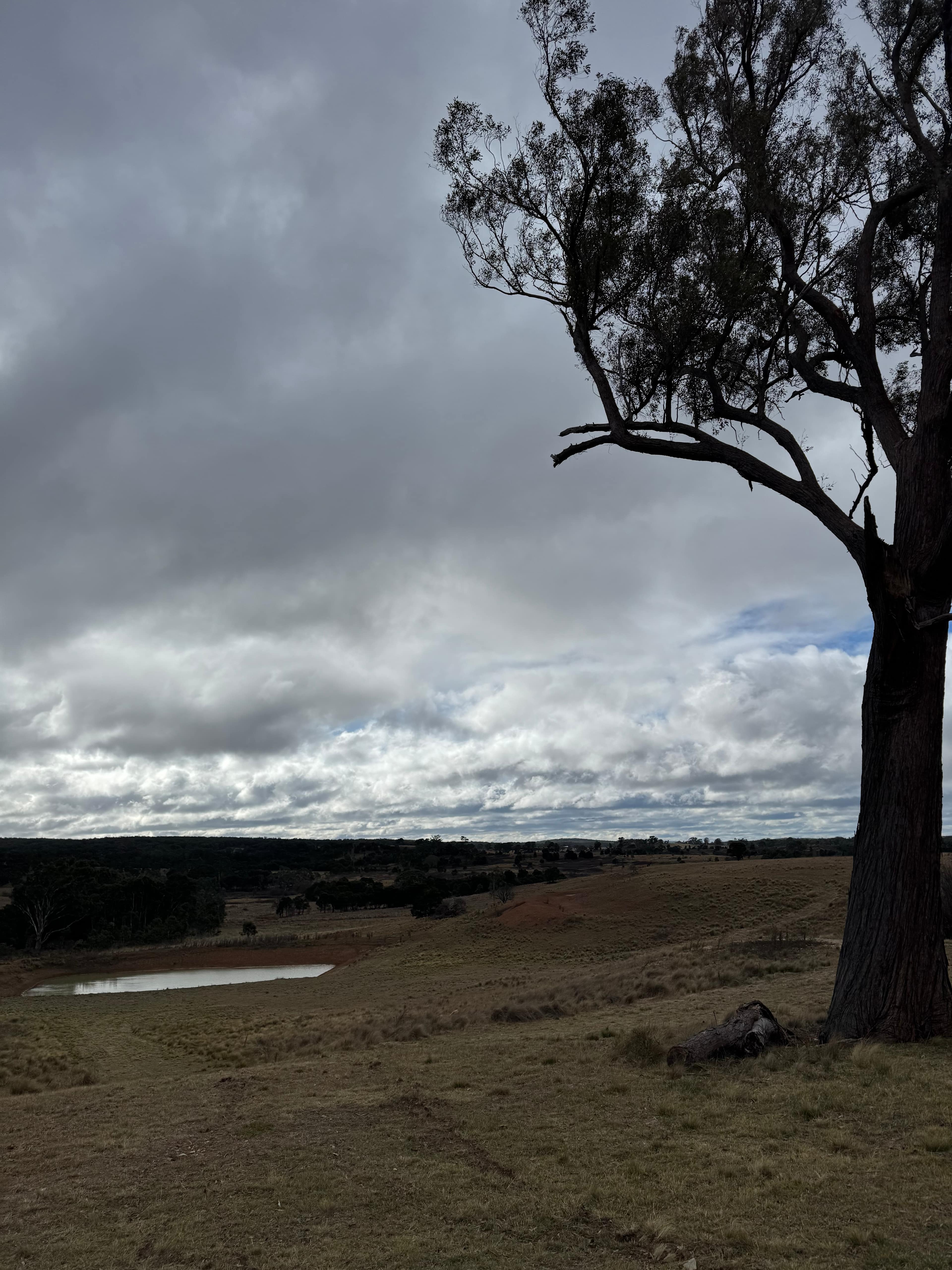 The Hobby Sheep Farm
