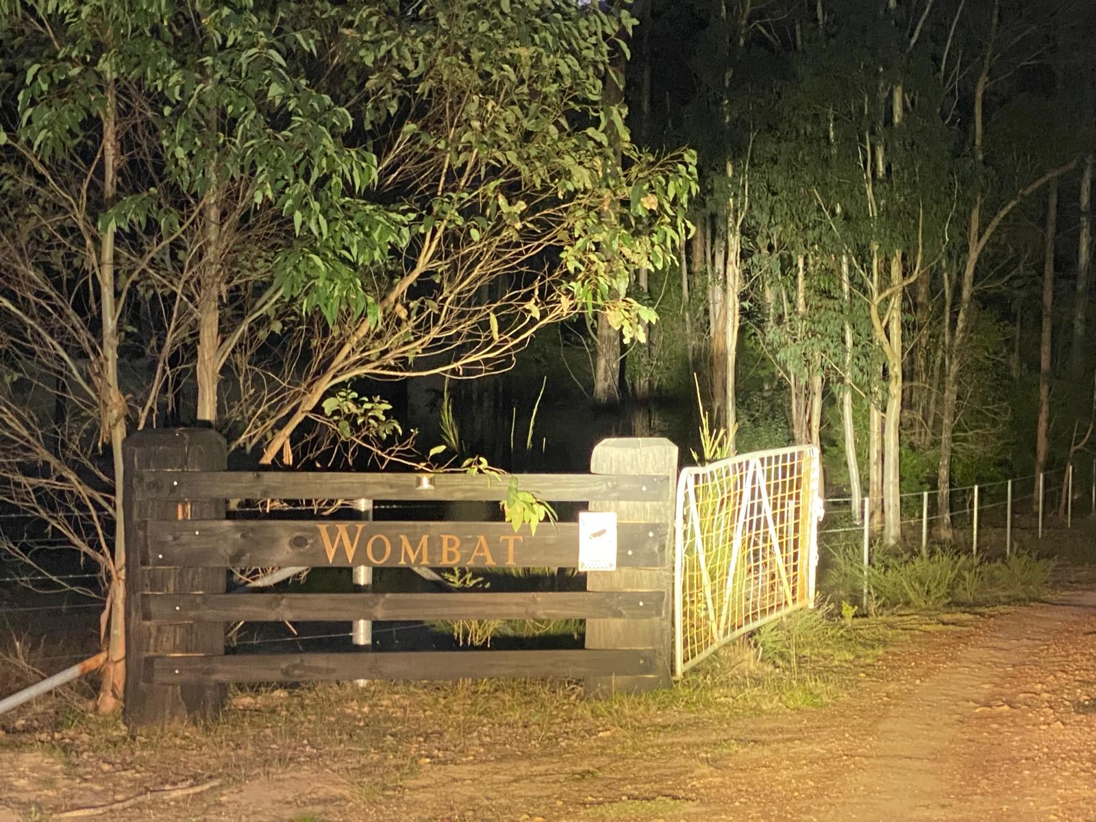 Wombat Hollow