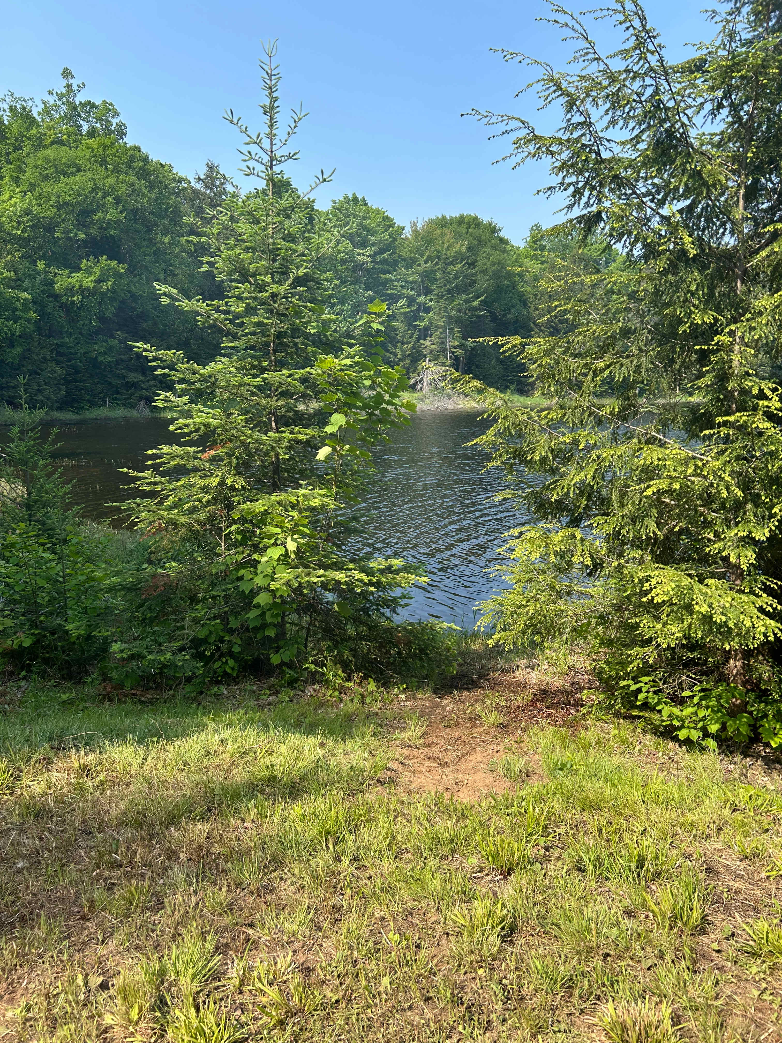 Ball Lake Tent Camping