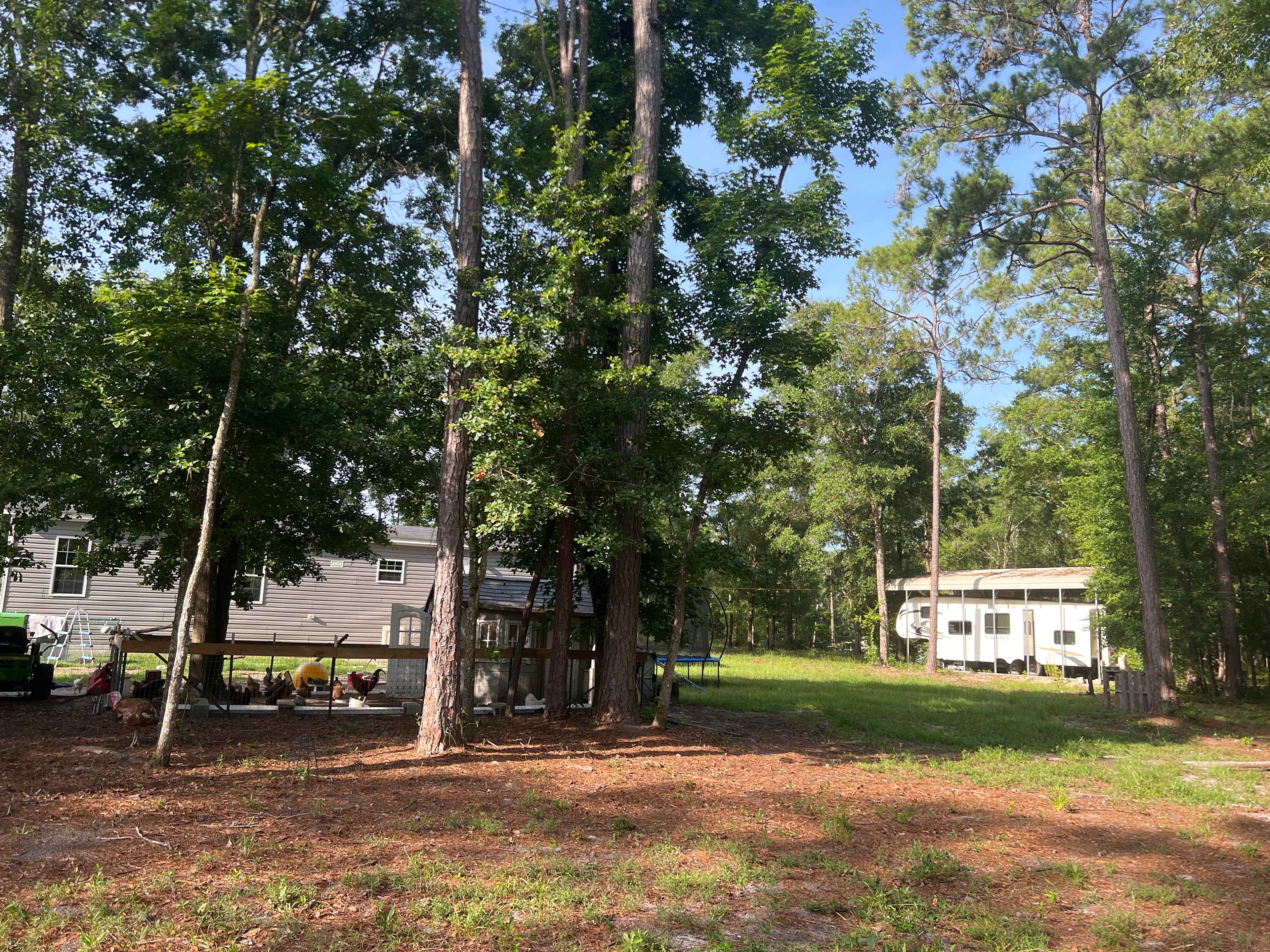 Vine & Branch Homestead