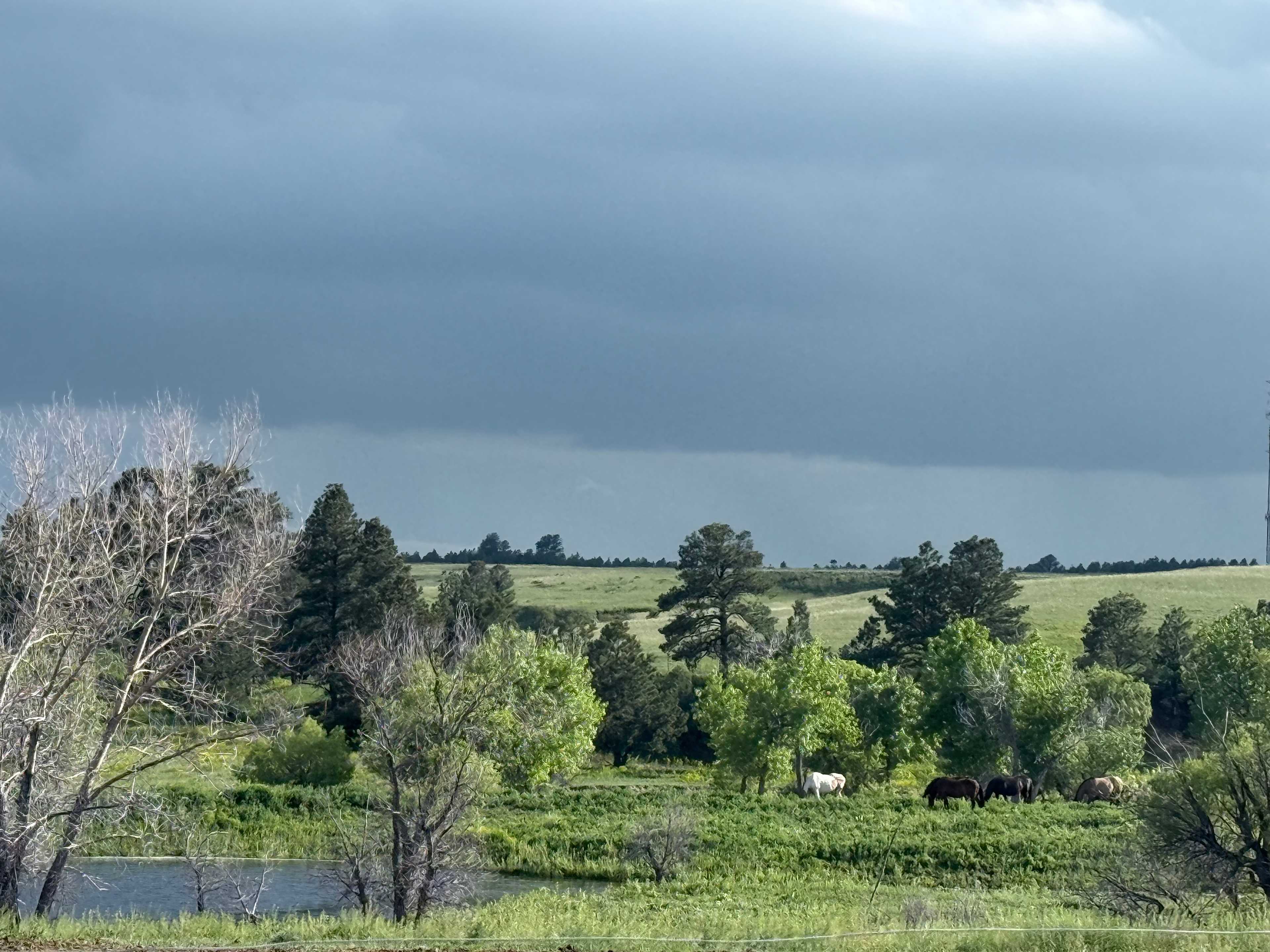 120 Acre Animal Sanctuary