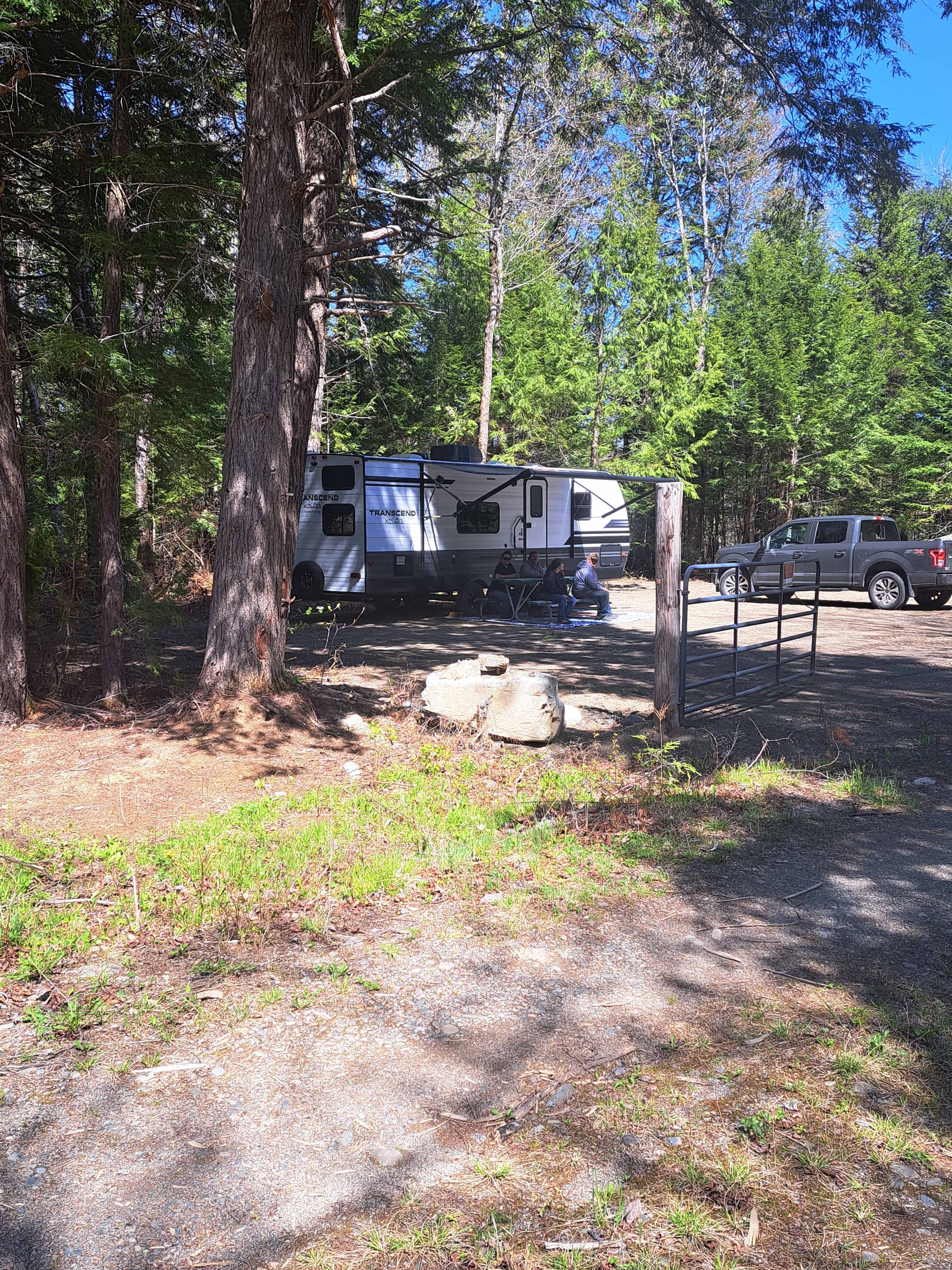 Woodland campsite.
