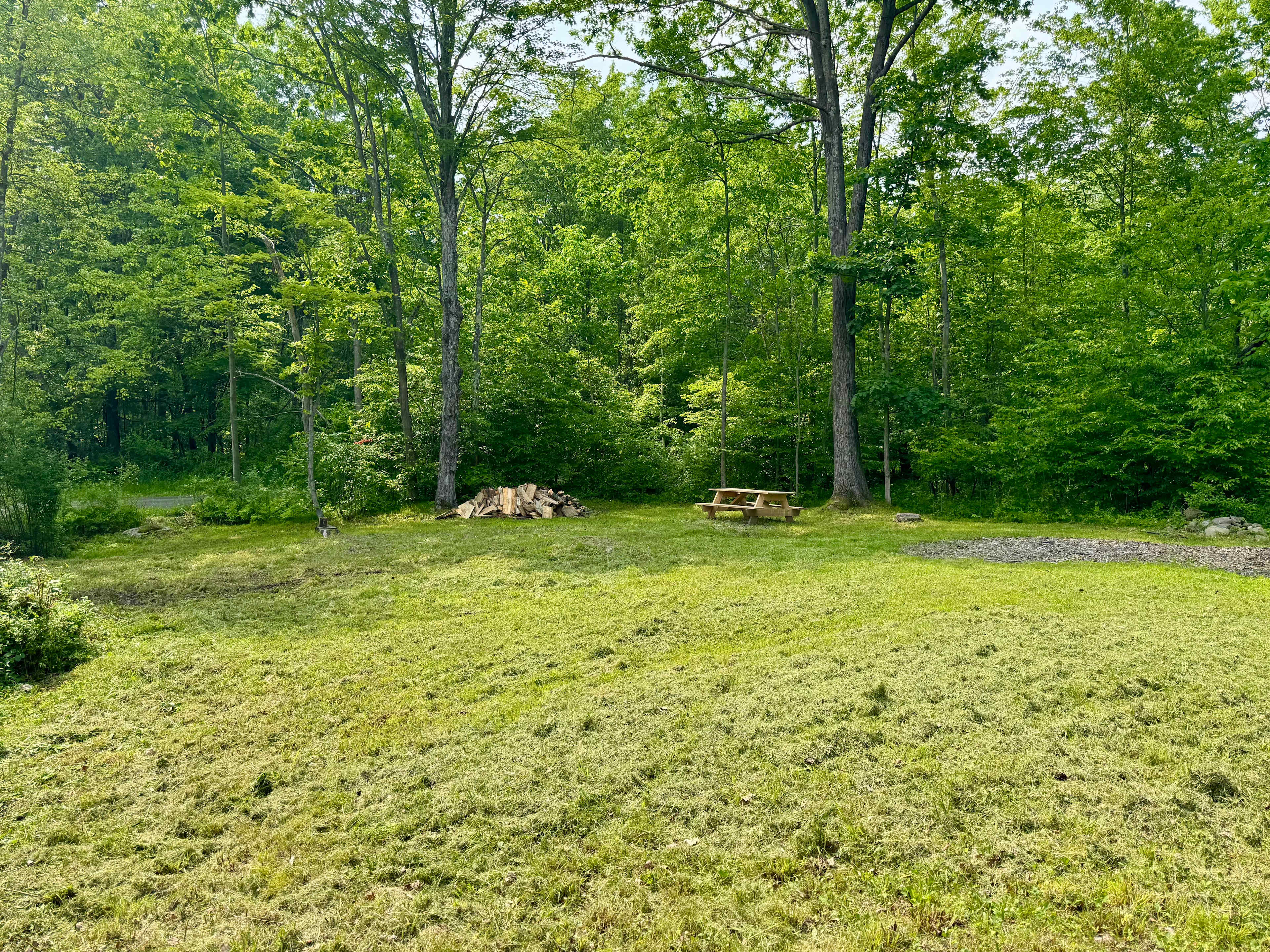 One Trick Pony Ranch