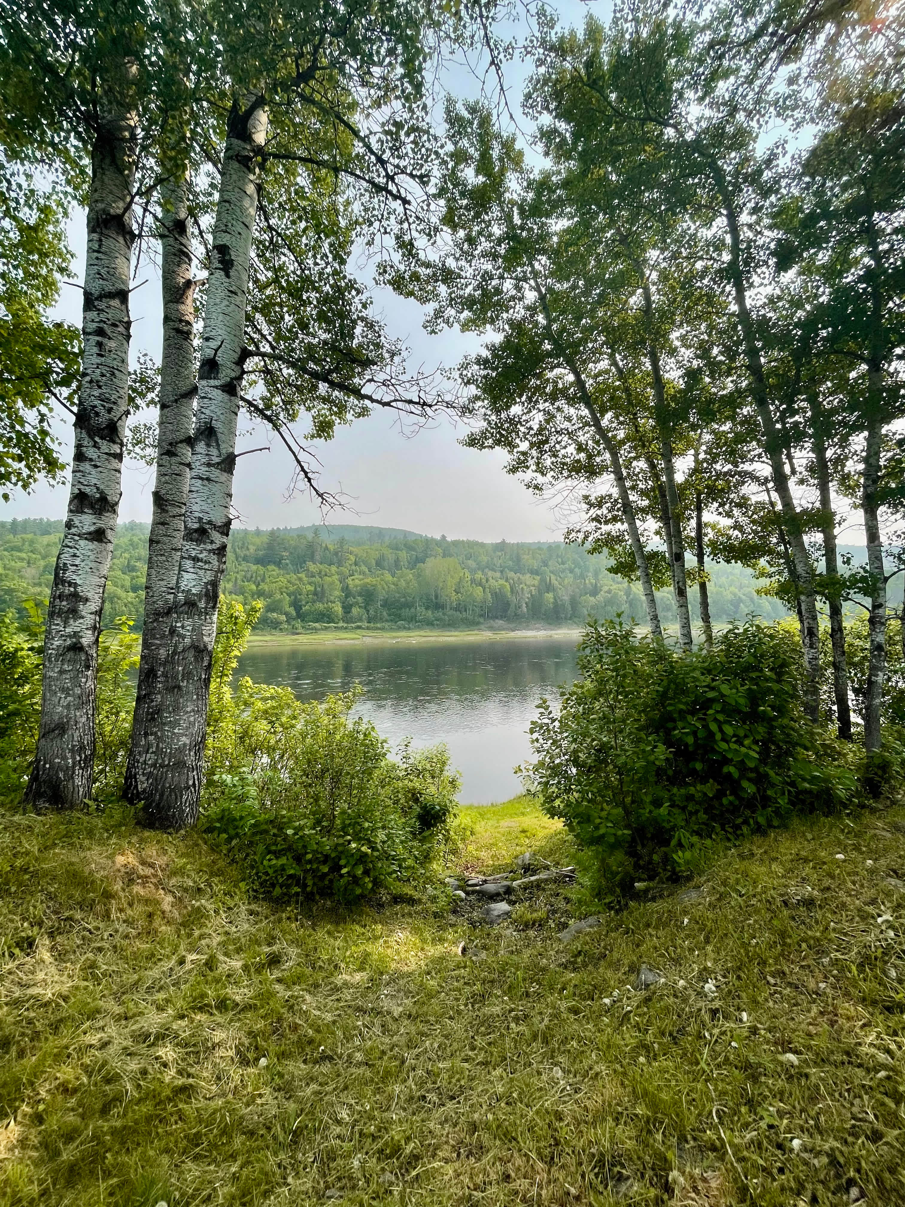 Pathway to the river front.