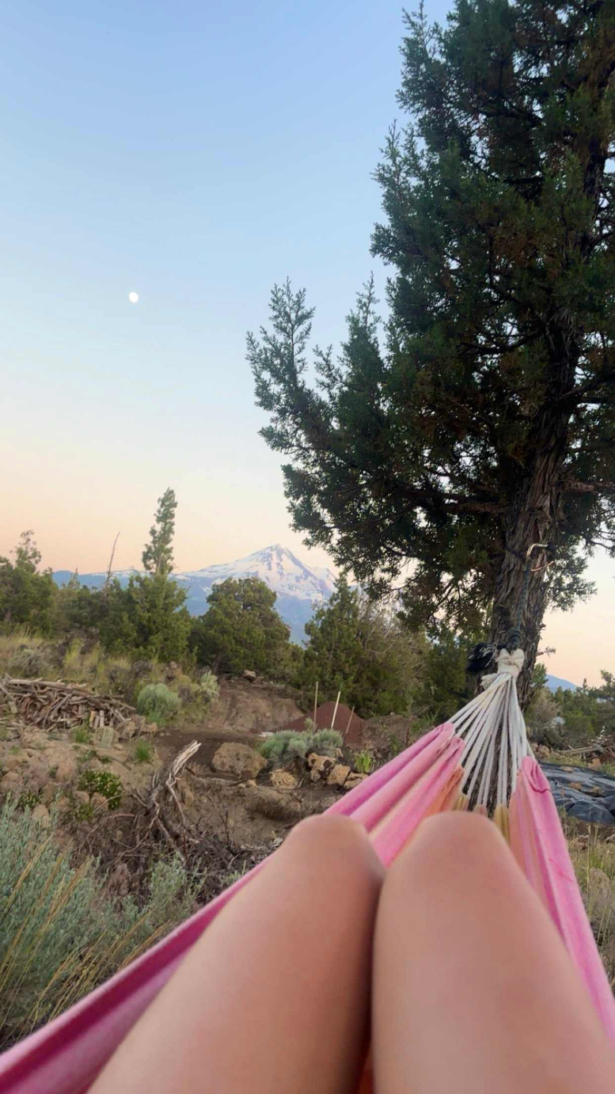 Muladhara Vector Camp Mount Shasta