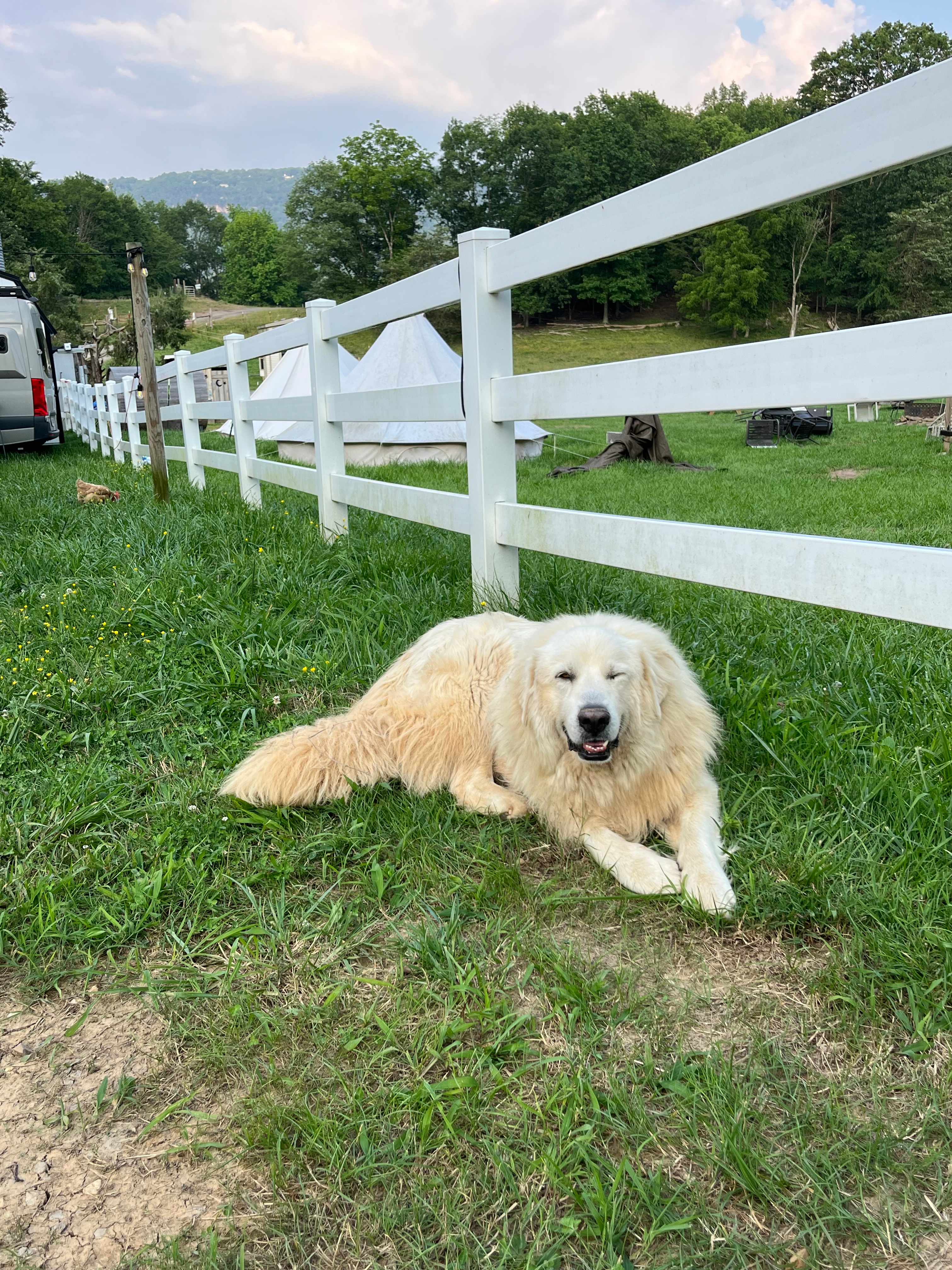 Quail Run Farm