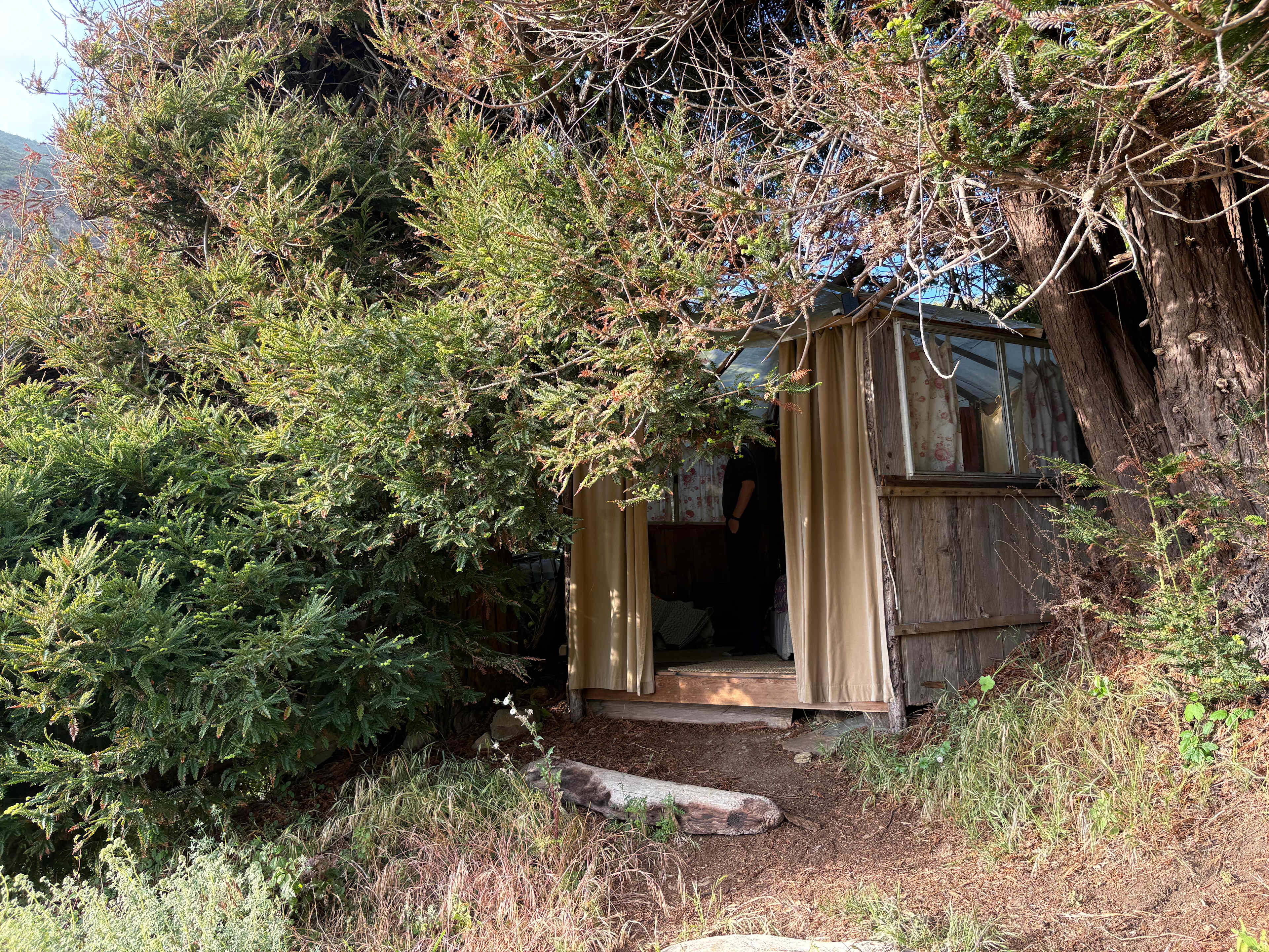 dabudage Big Sur