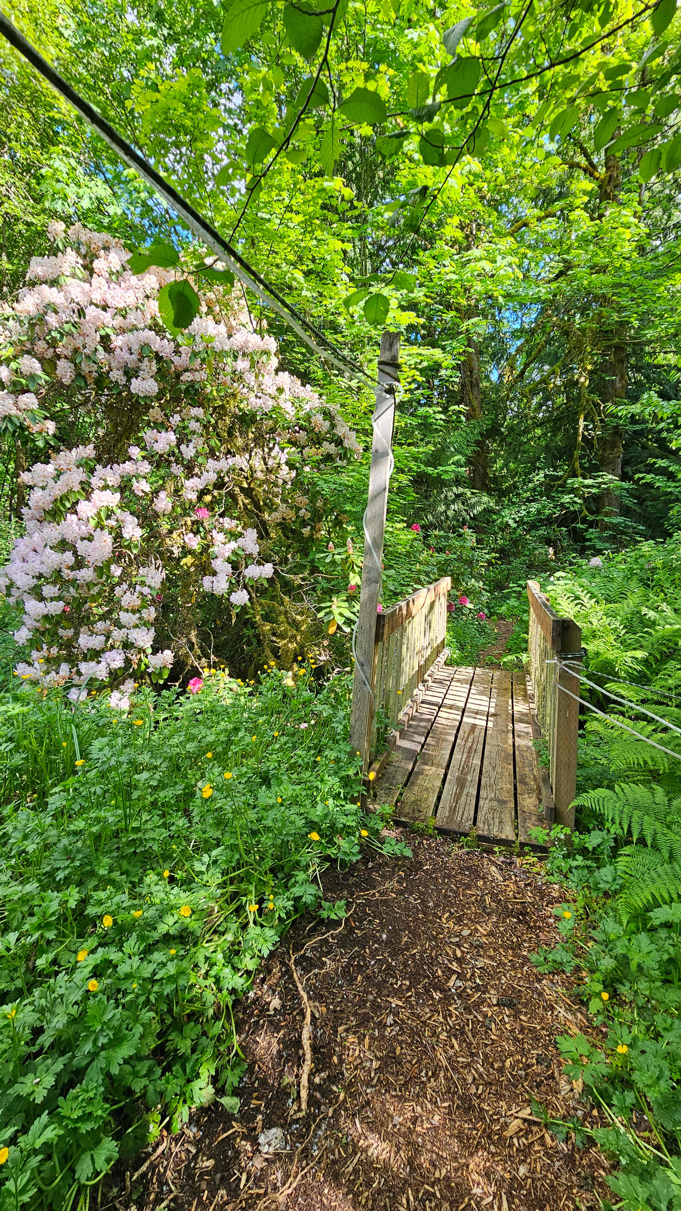 Zigzag Mountain Farm on Mount Hood