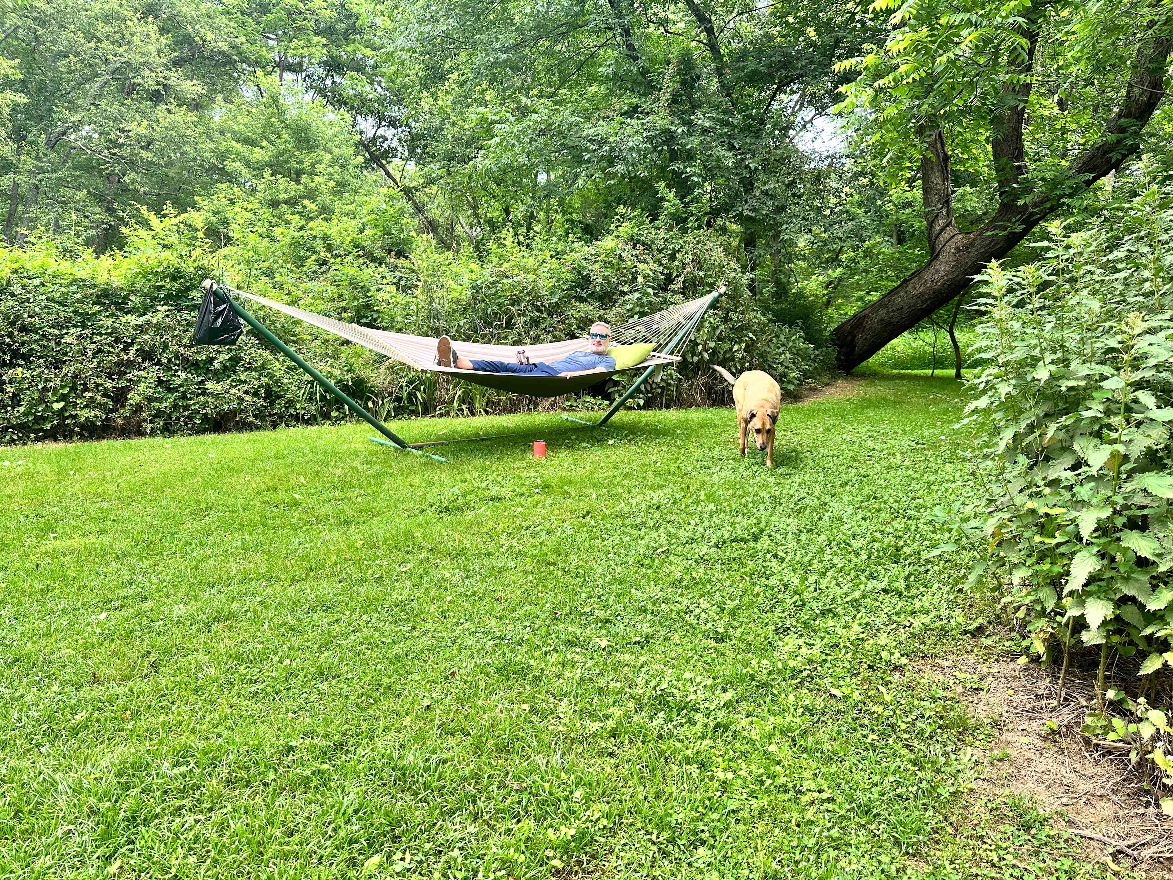 Conowingo Creek Campsite