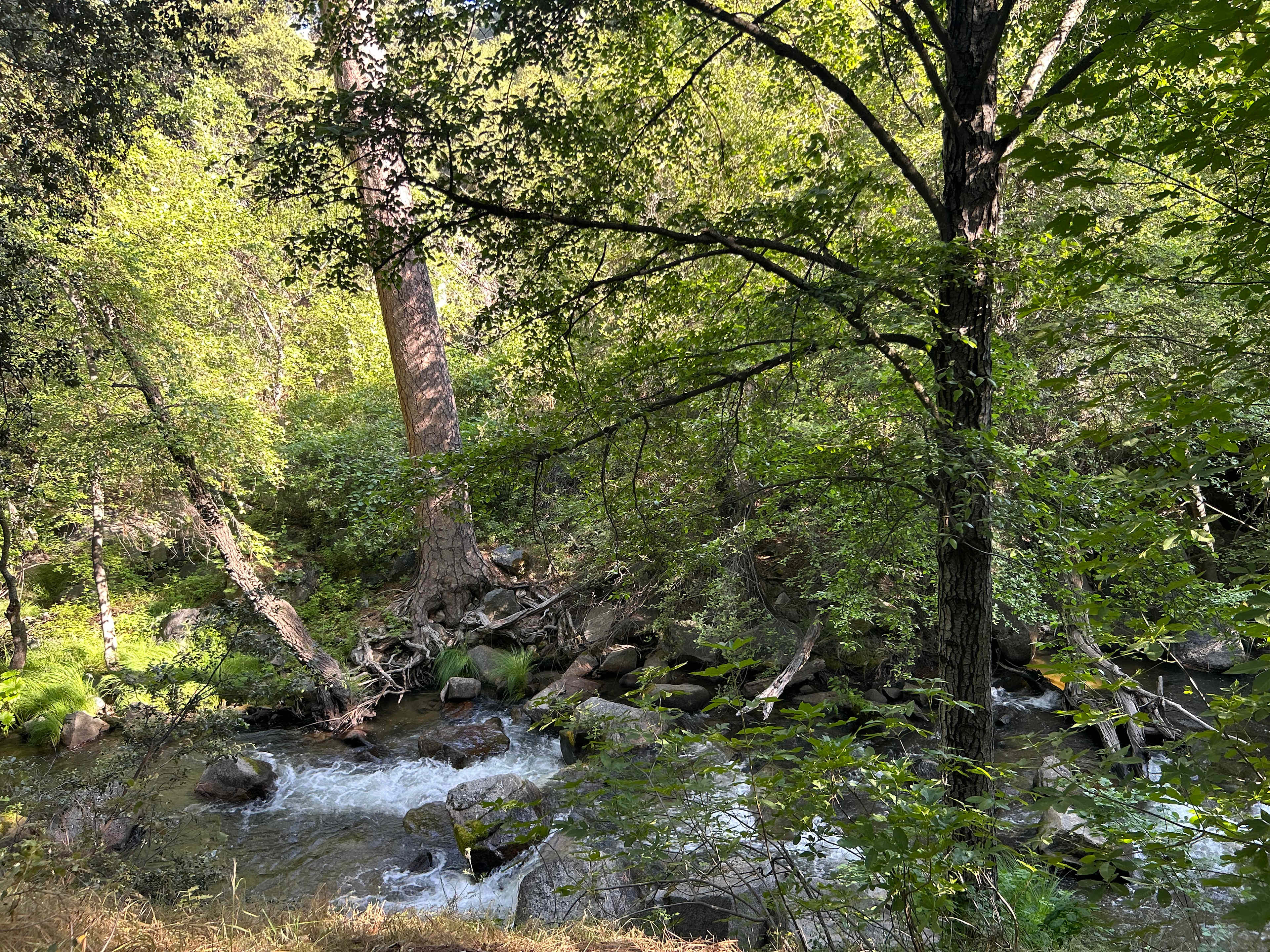 Hidden Falls Yosemite Camp